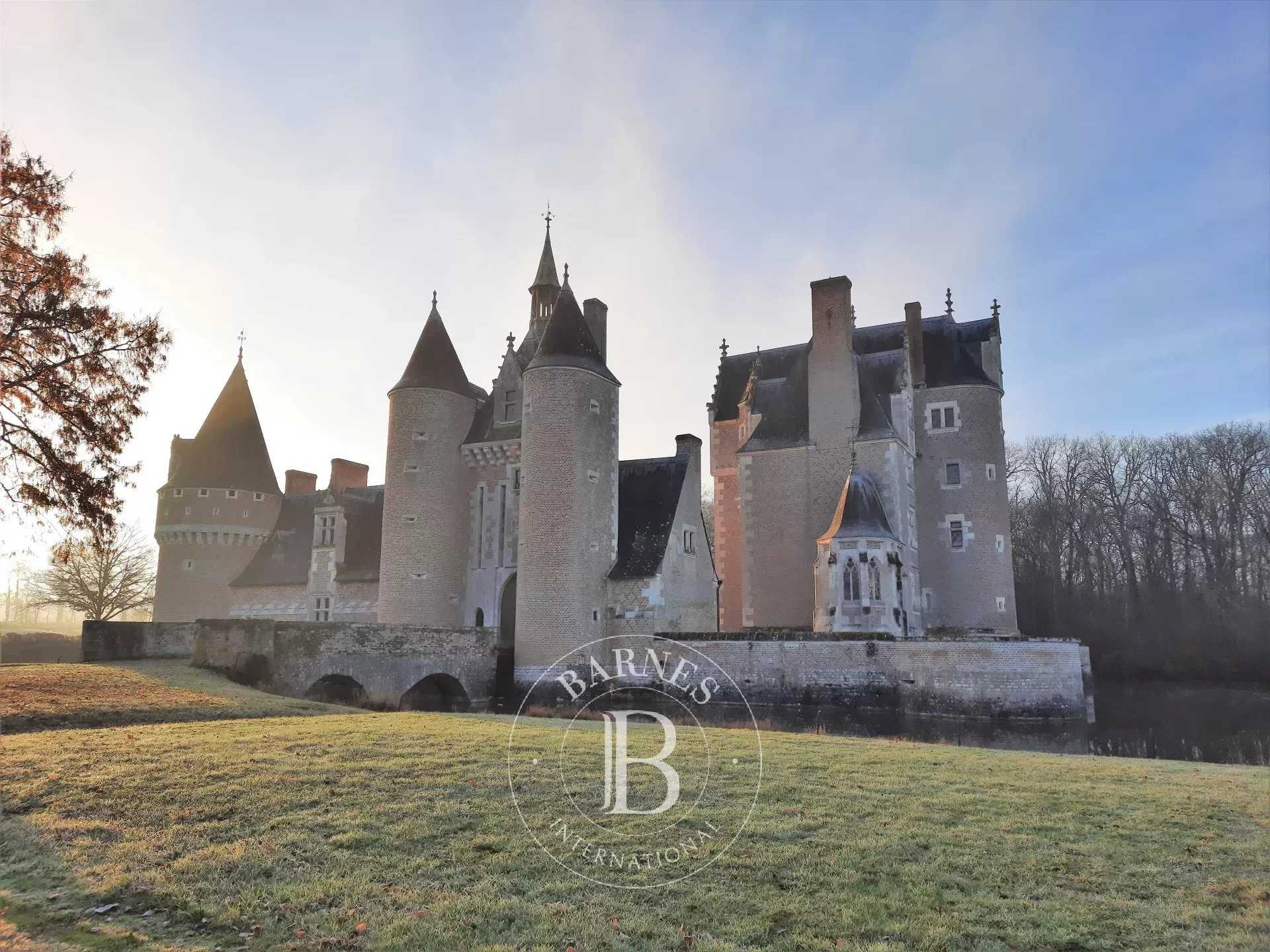 Lassay-sur-Croisne  - Castle 