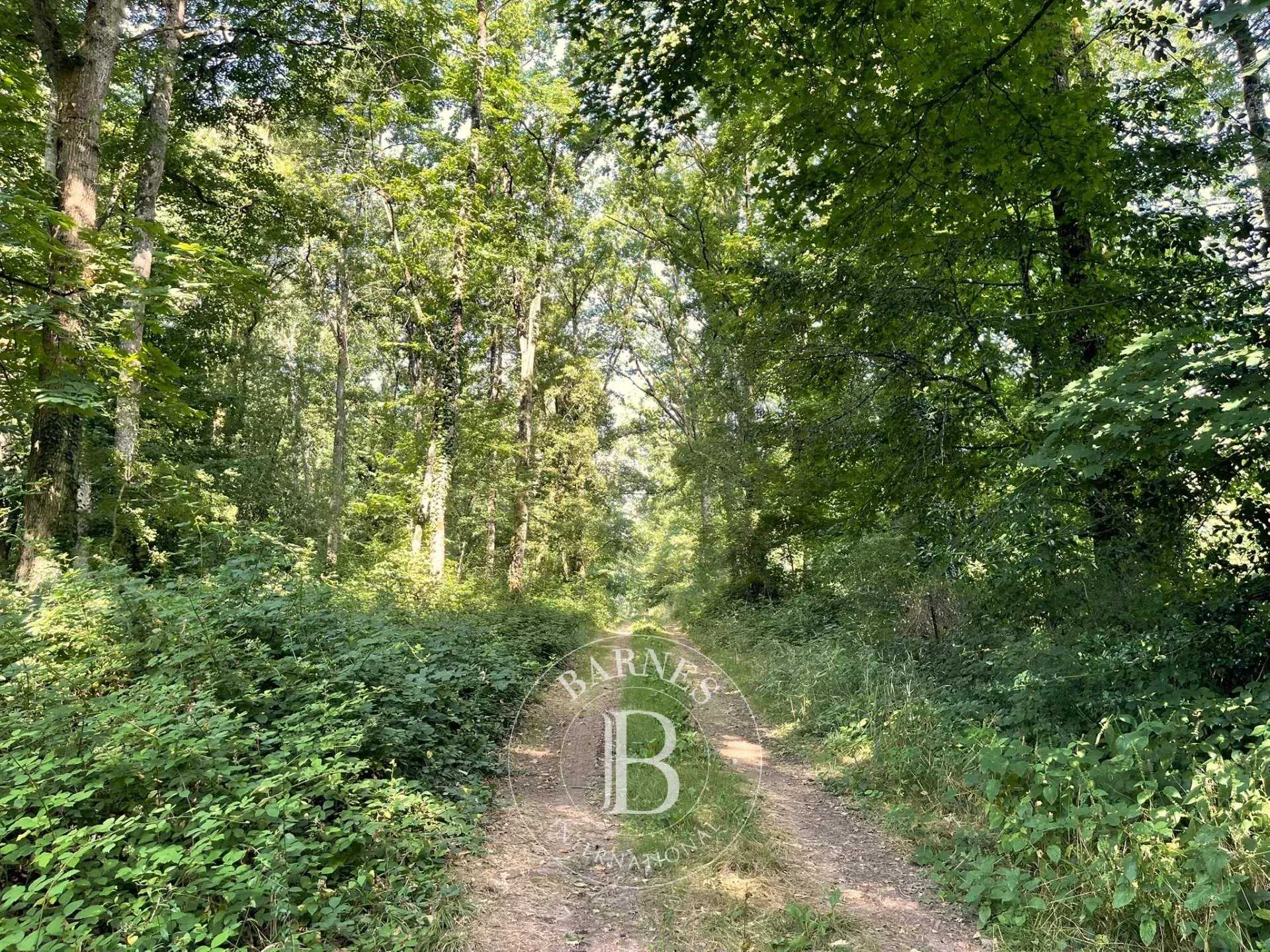 Vendôme  - Château 