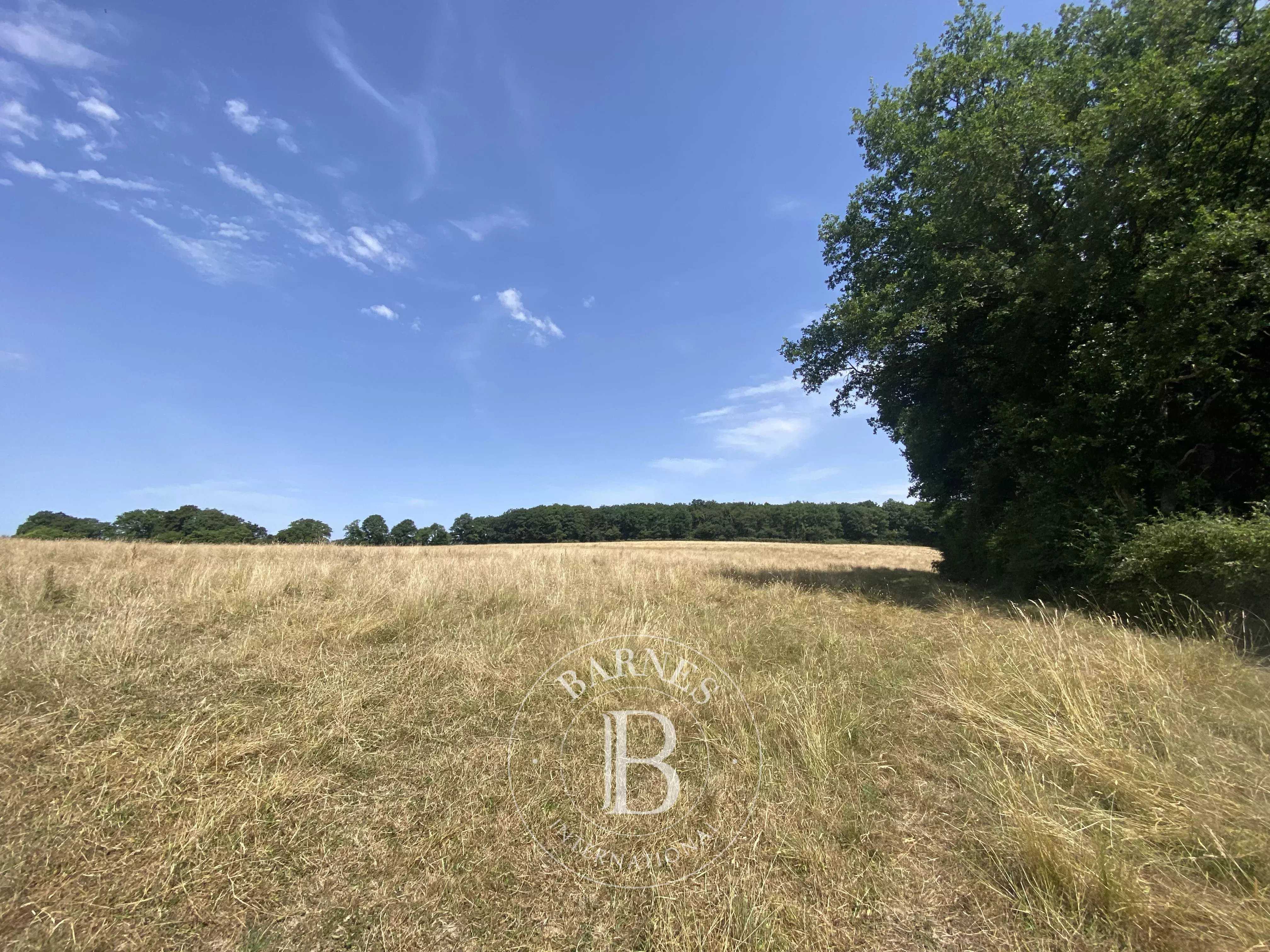 Savigny-sur-Braye  - House 10 Bedrooms