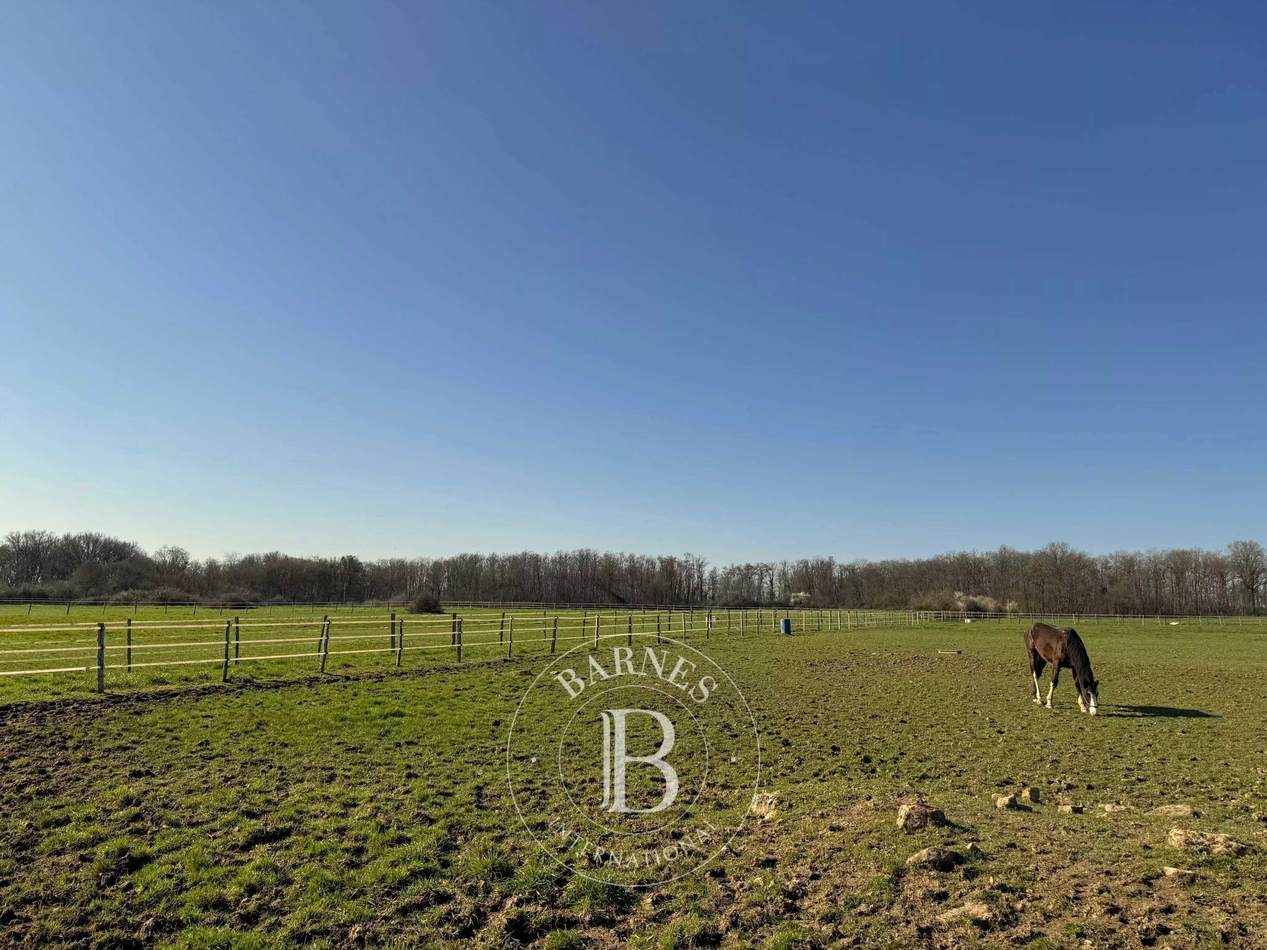 Graçay  - Domaine équestre 5 Pi&egrave;ces 3 Chambres