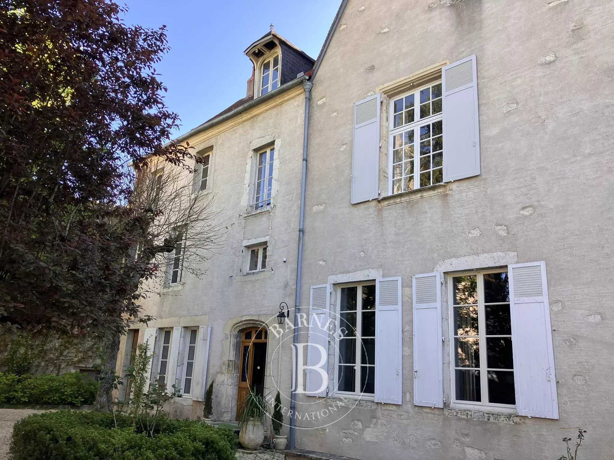 Mehun-sur-Yèvre  - Hôtel particulier 