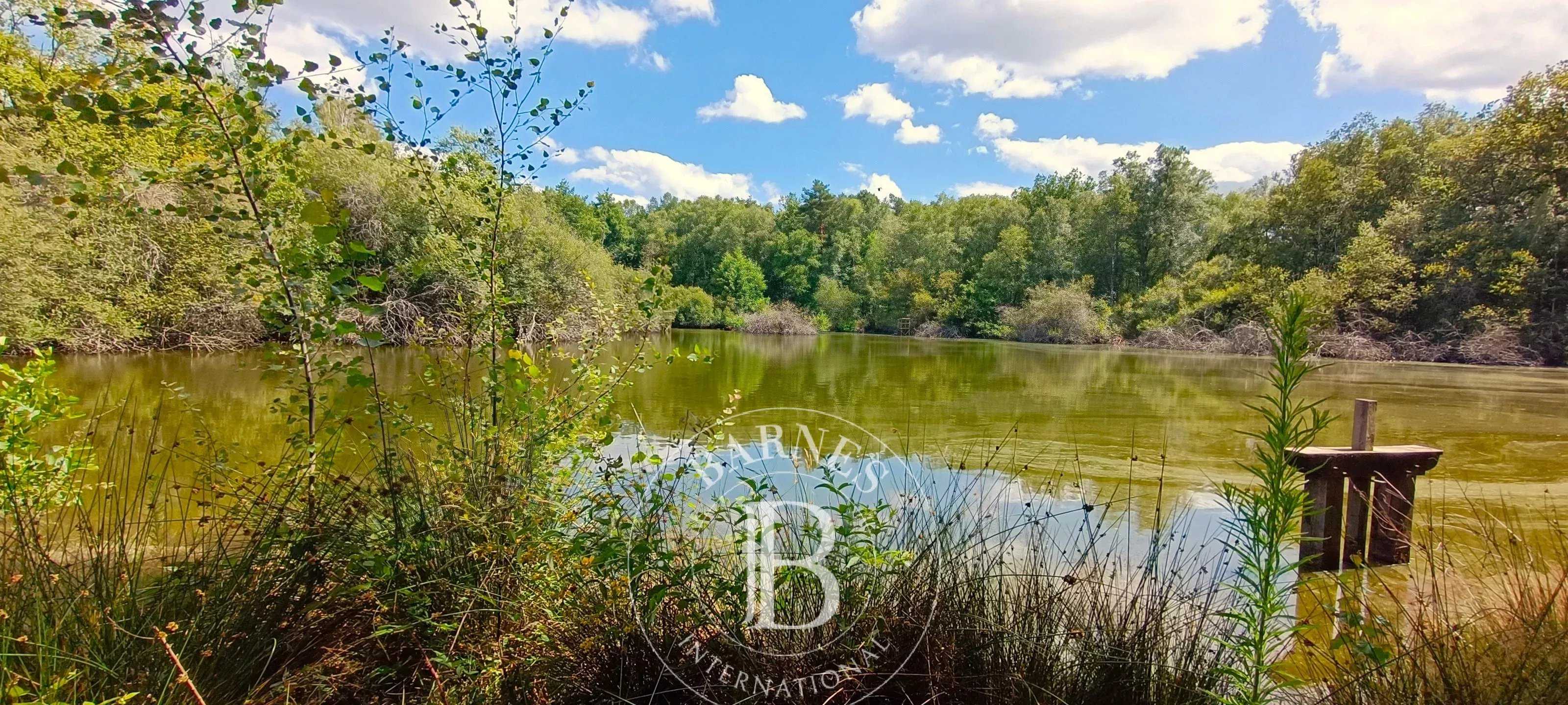 Lamotte-Beuvron  - Domaine de chasse 7 Pi&egrave;ces 4 Chambres