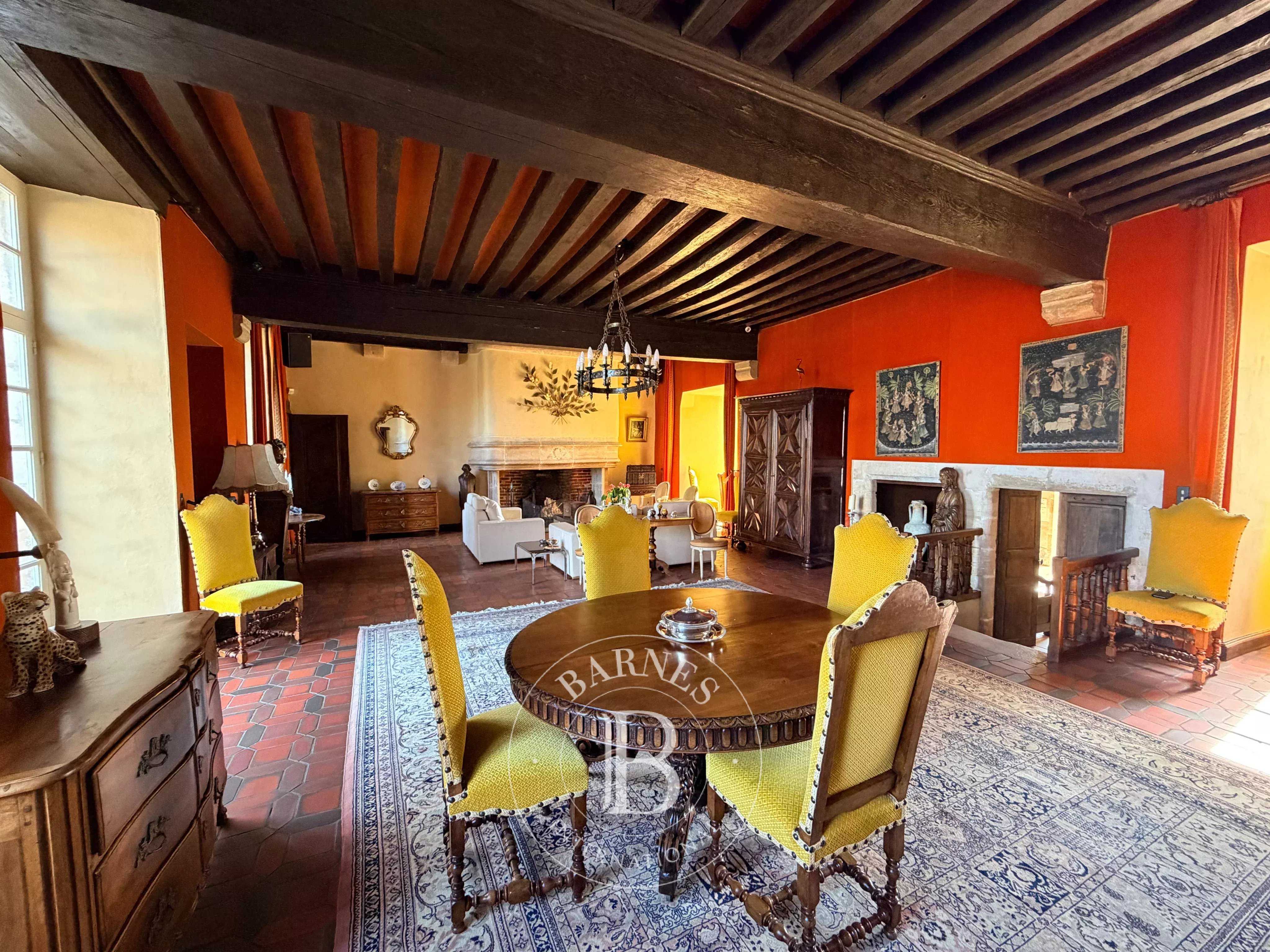 Saint-Georges-de-Poisieux  - Château 12 Pi&egrave;ces 8 Chambres