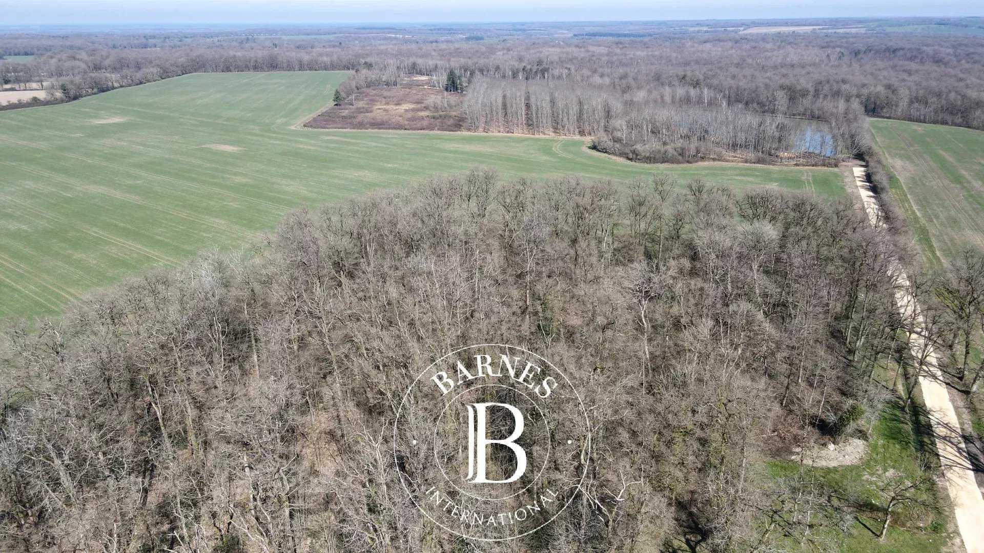 Neuvy-sur-Barangeon  - Property 1 Bedroom