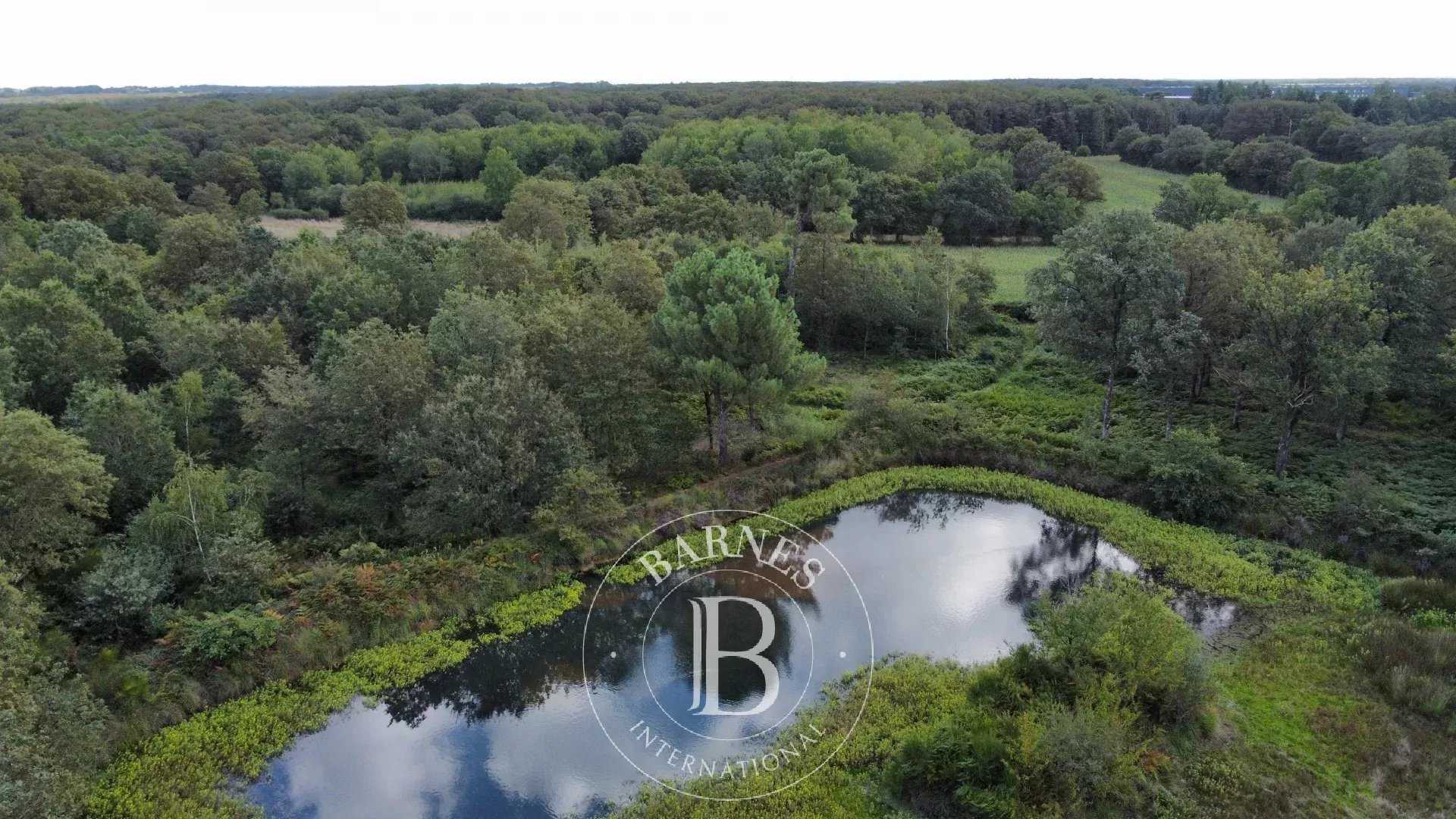 Propriété Angers