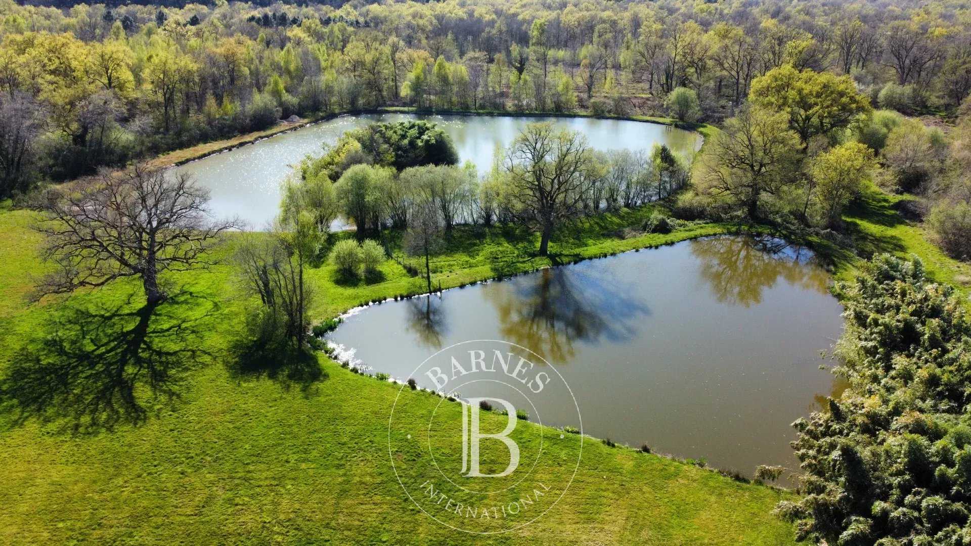 Neuvy-sur-Barangeon  - Property 4 Bedrooms