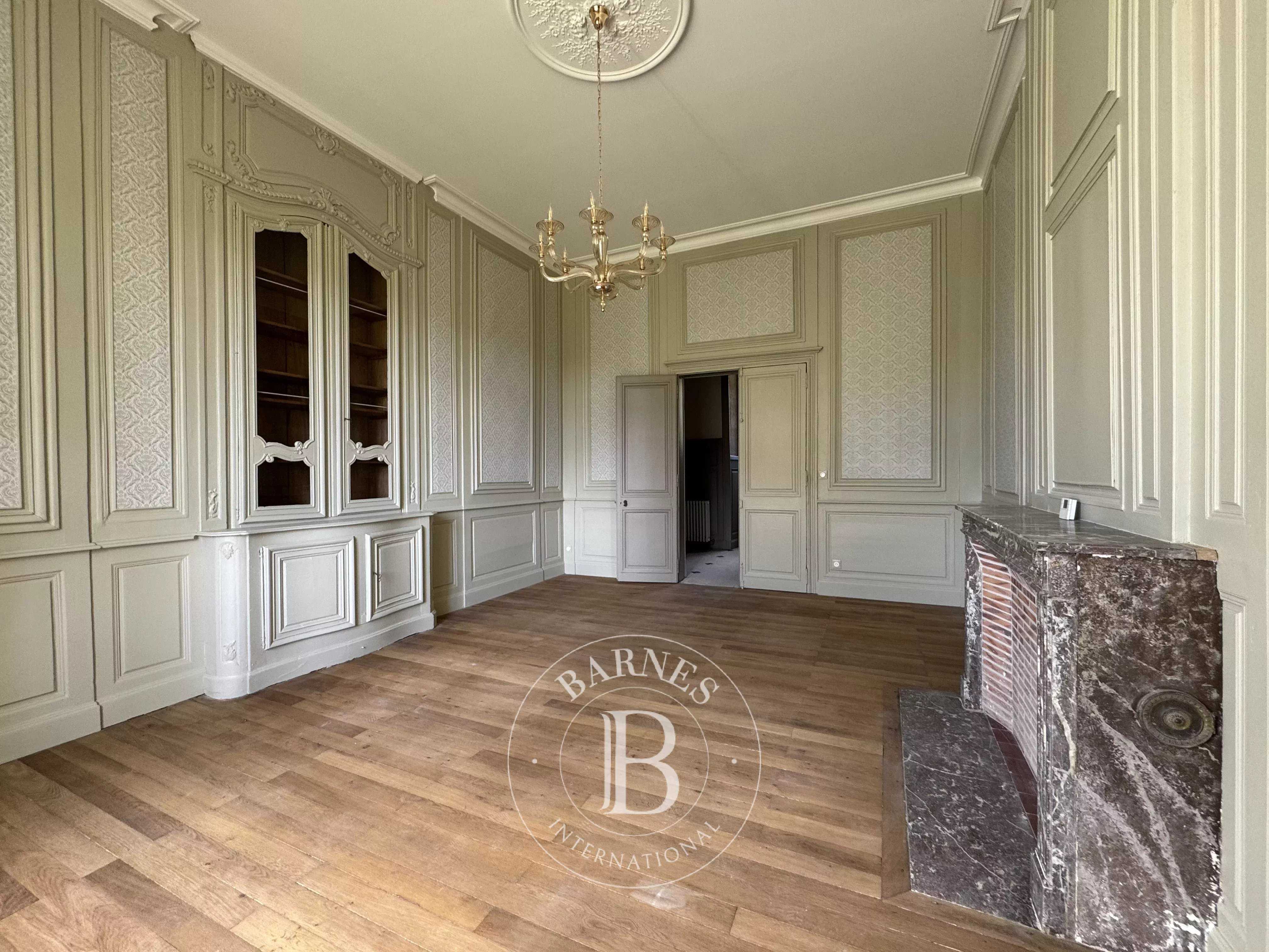 Vendôme  - Château 