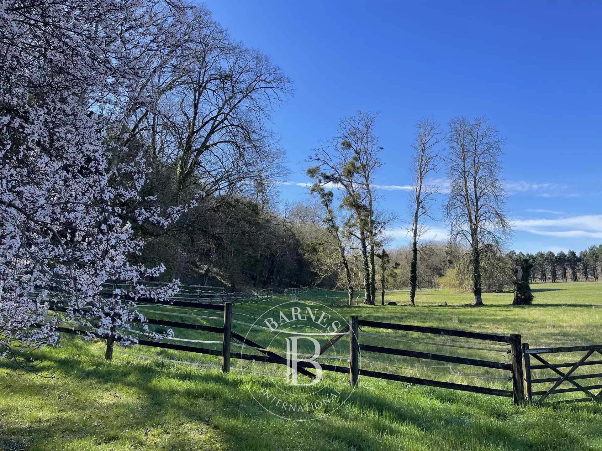 Amboise  - Castle 6 Bedrooms