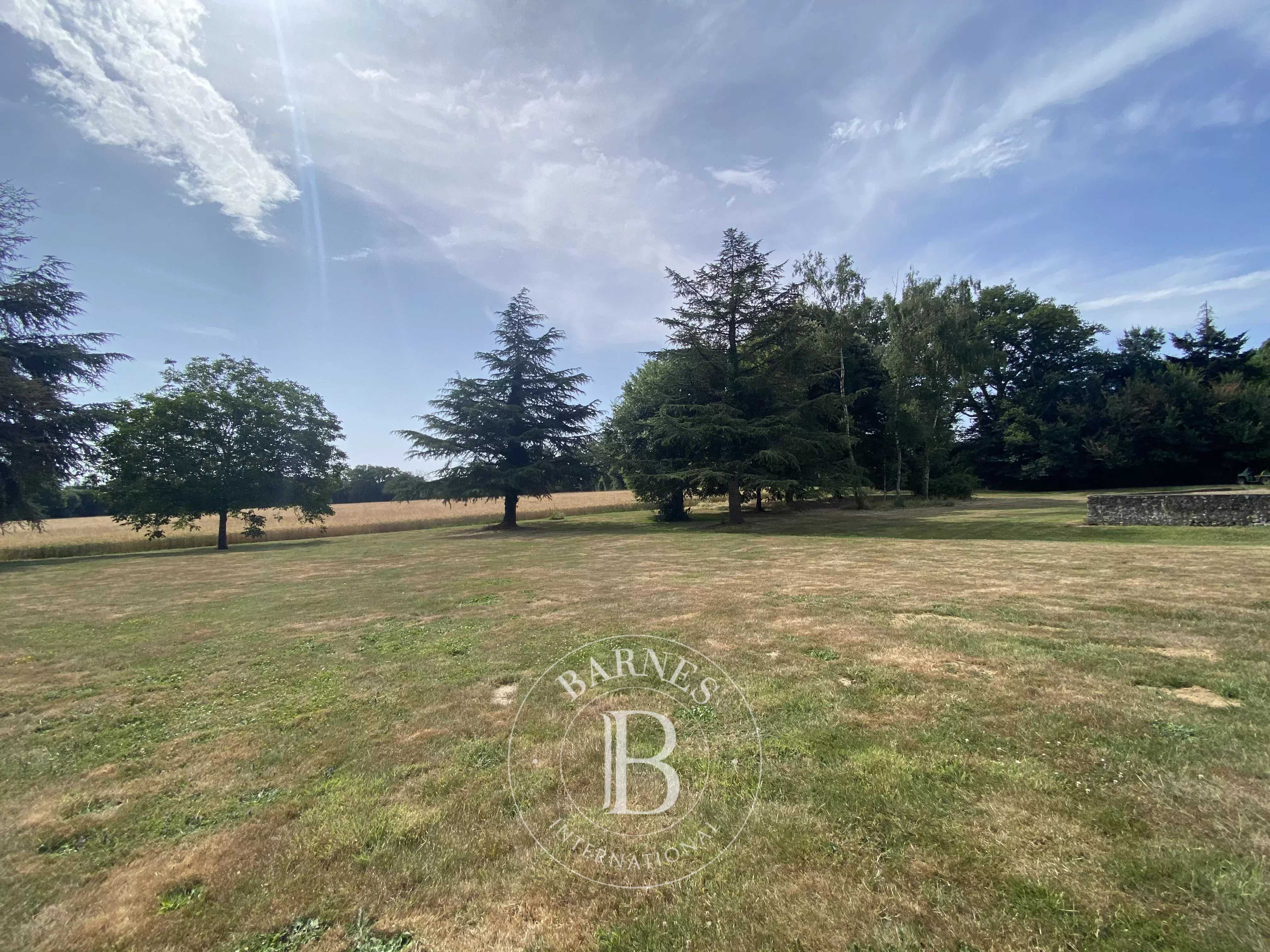 Savigny-sur-Braye  - House 10 Bedrooms