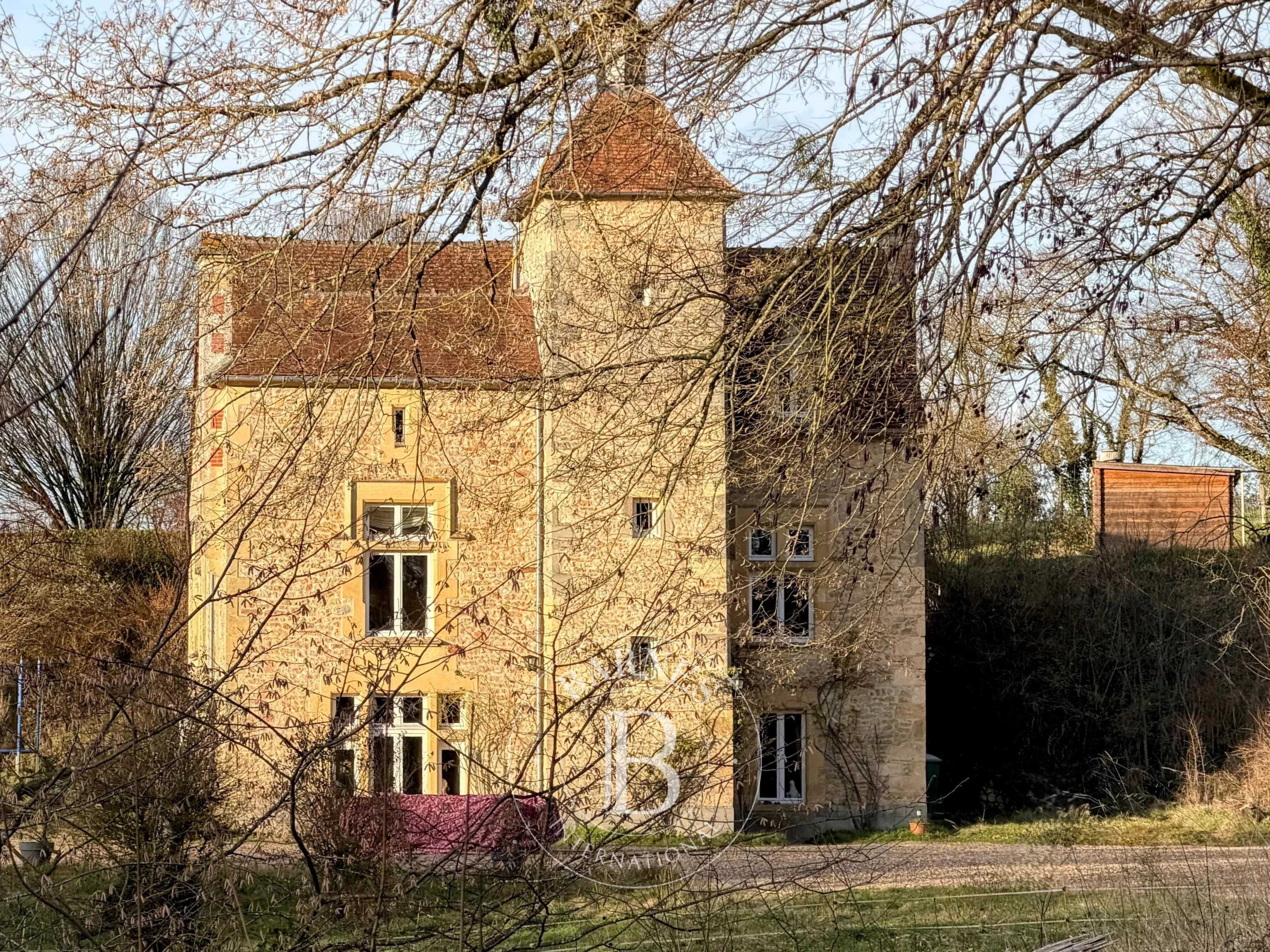 Beaumont-Sardolles  - Manoir 17 Pi&egrave;ces 9 Chambres