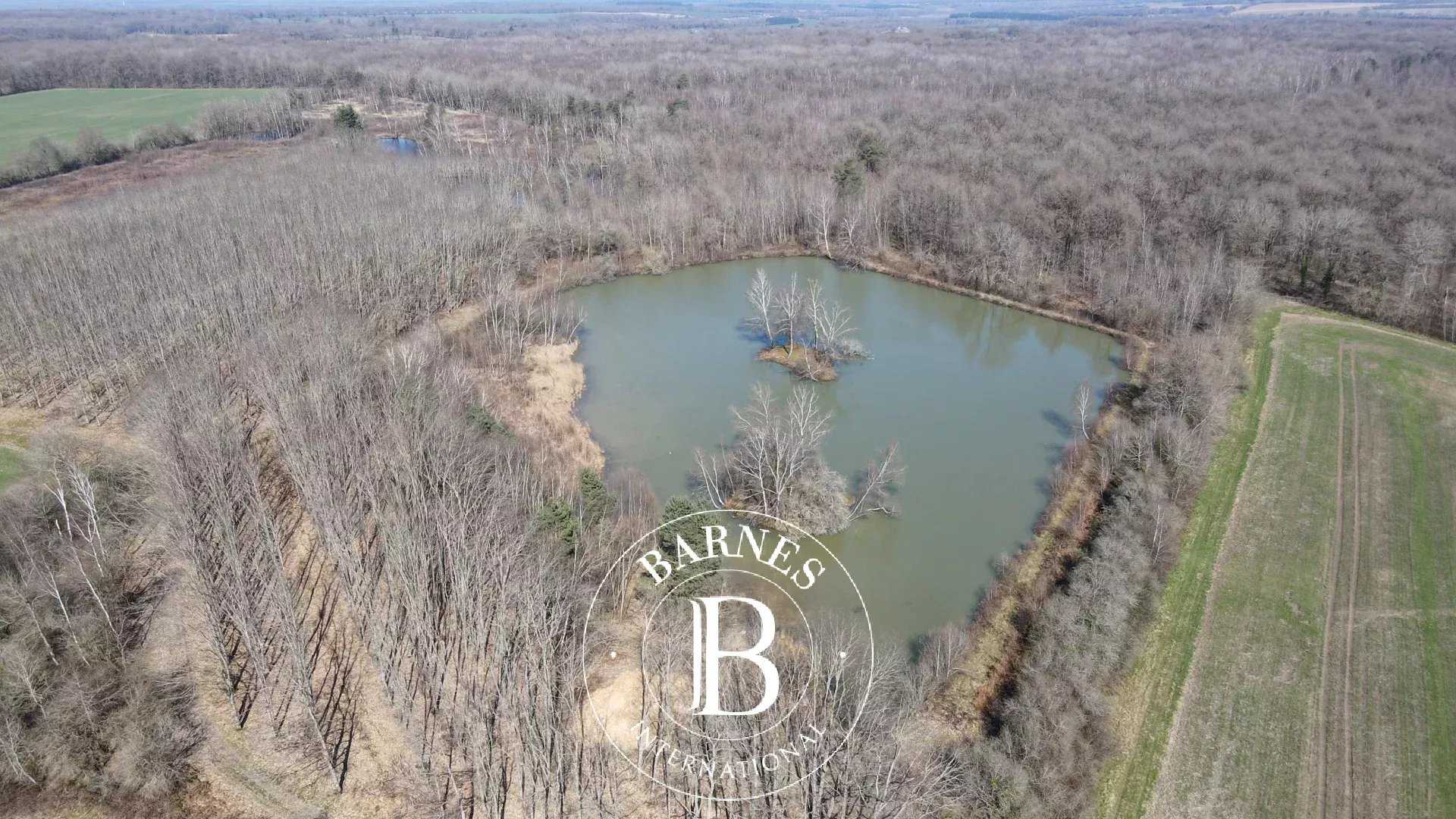 Neuvy-sur-Barangeon  - Property 1 Bedroom