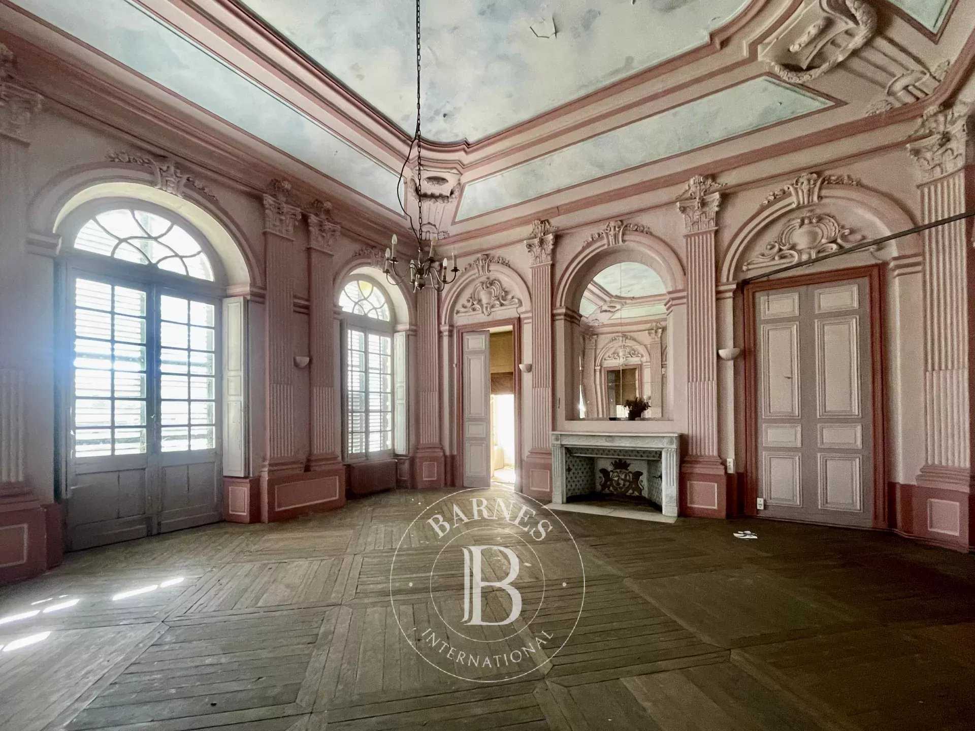 Château Loches  -  ref 85892351 (picture 2)