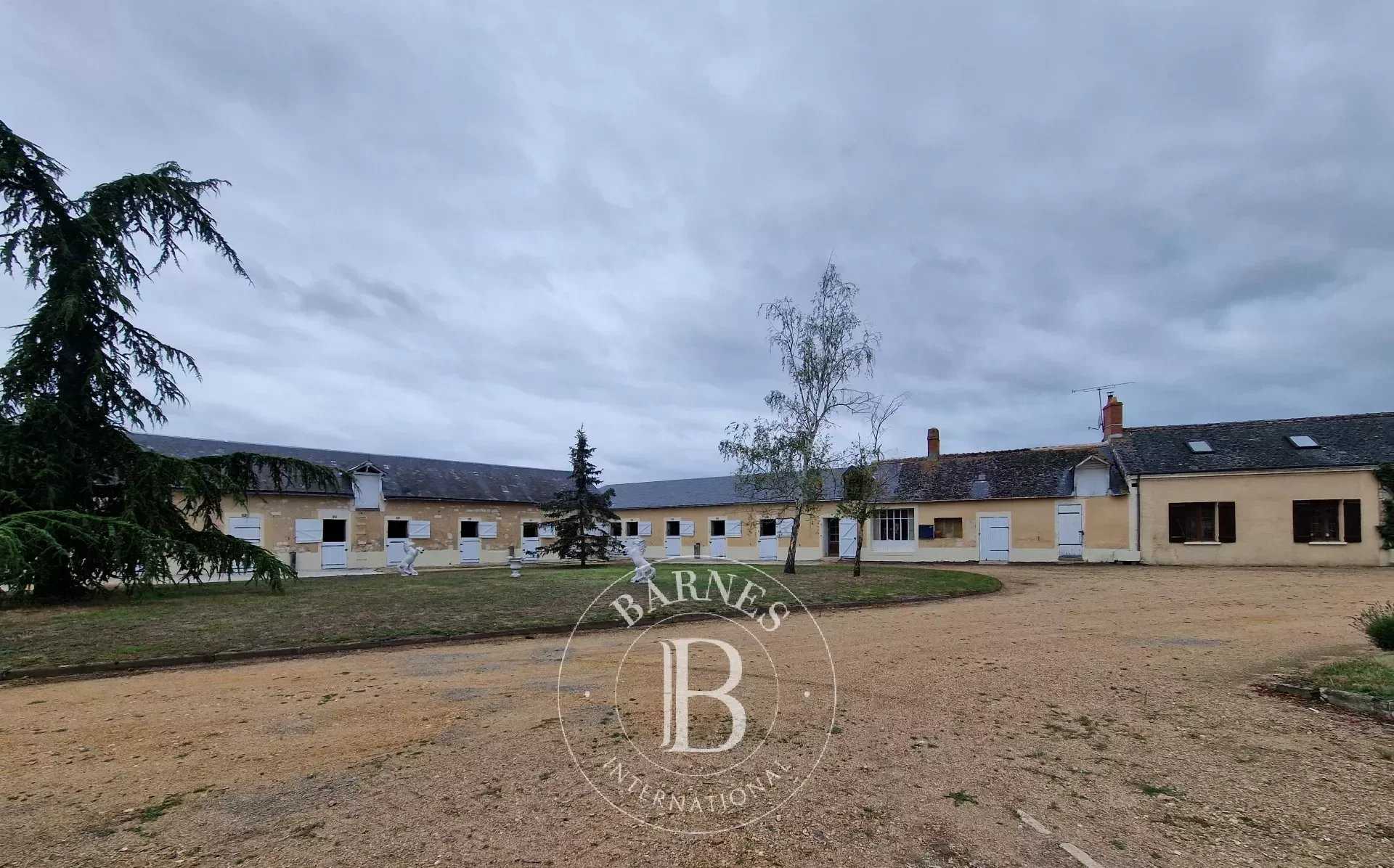 Maison La Bruère-sur-Loir  -  ref 83261756 (picture 1)