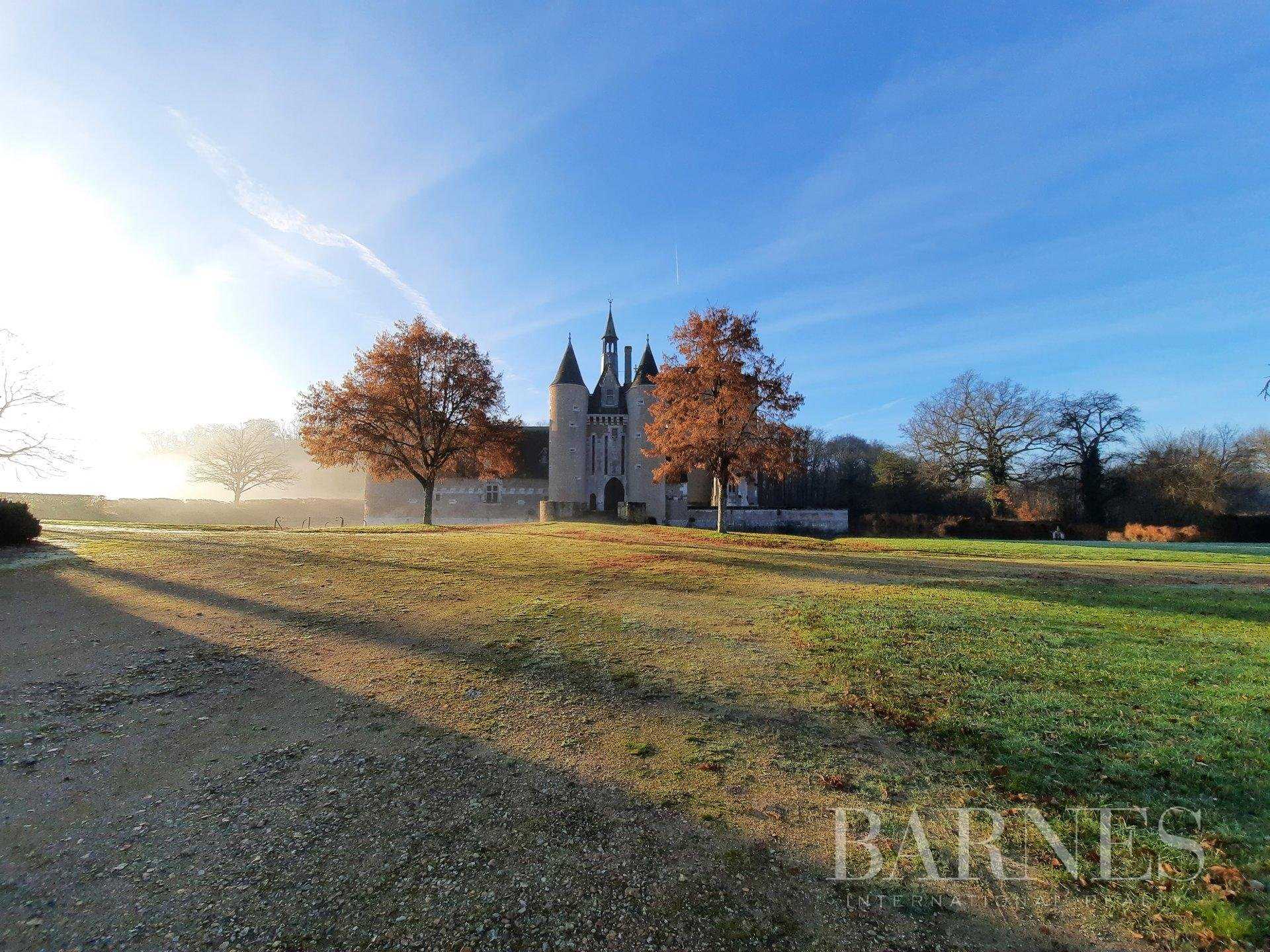 Castle Blois  -  ref 3464188 (picture 3)