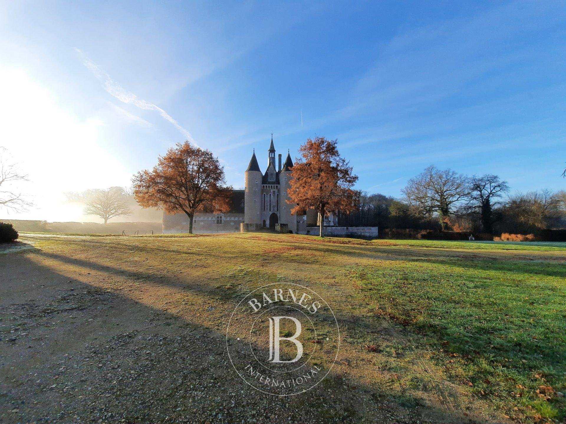 Château Blois  -  ref 3464188 (picture 3)