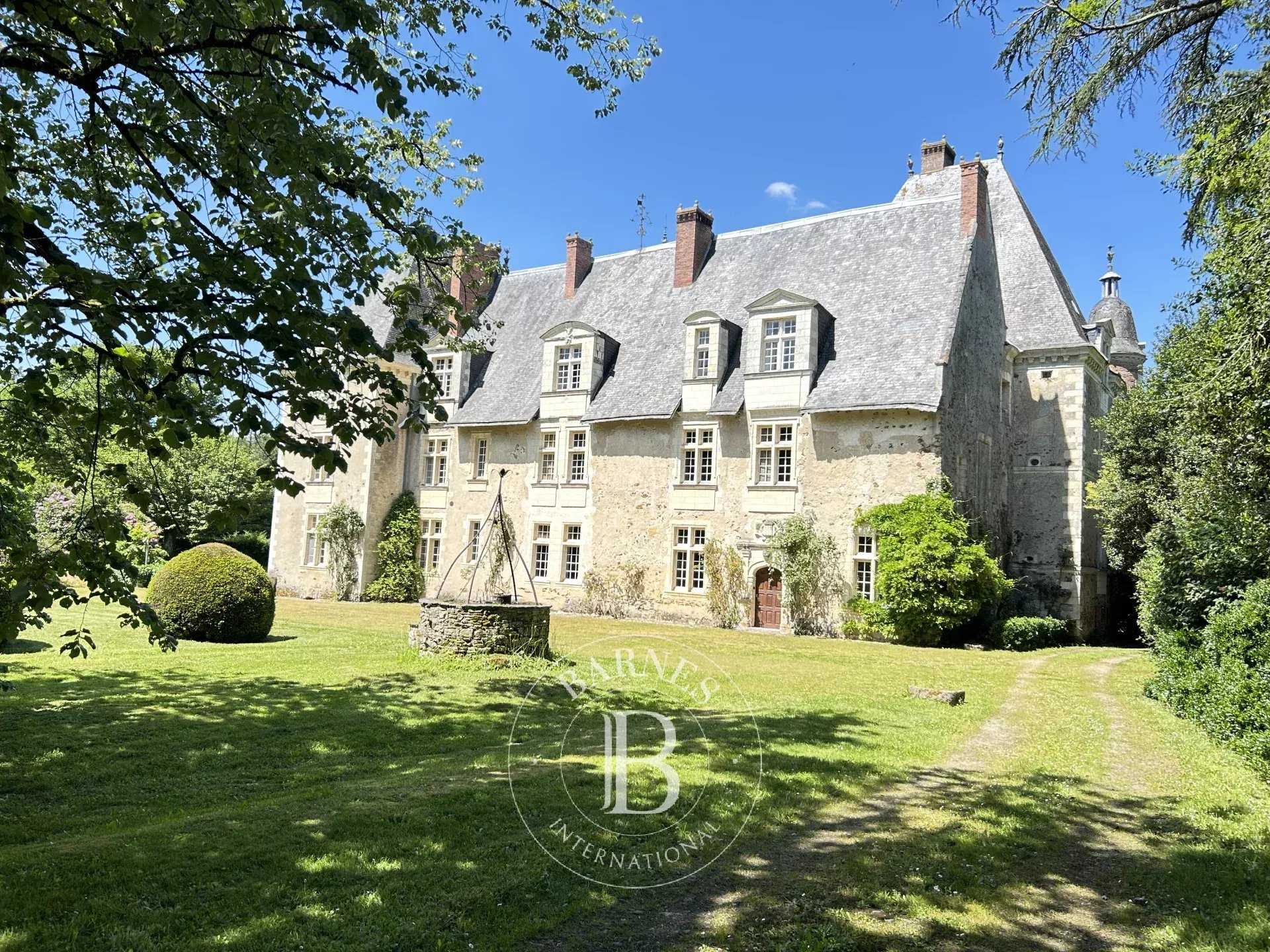 Castle Chazé-sur-Argos  -  ref 86093562 (picture 2)