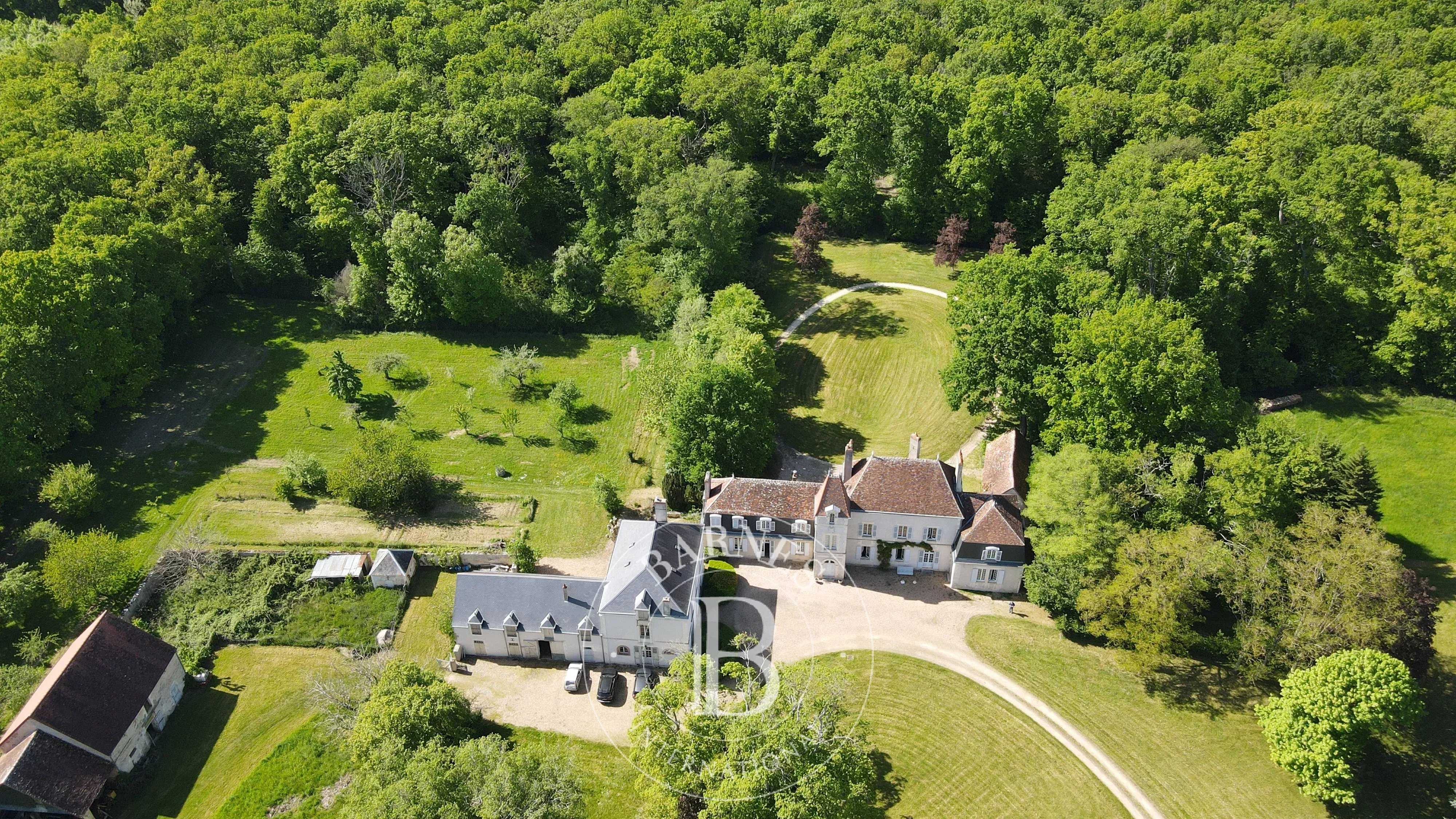 Château Vatan  -  ref 86918618 (picture 1)