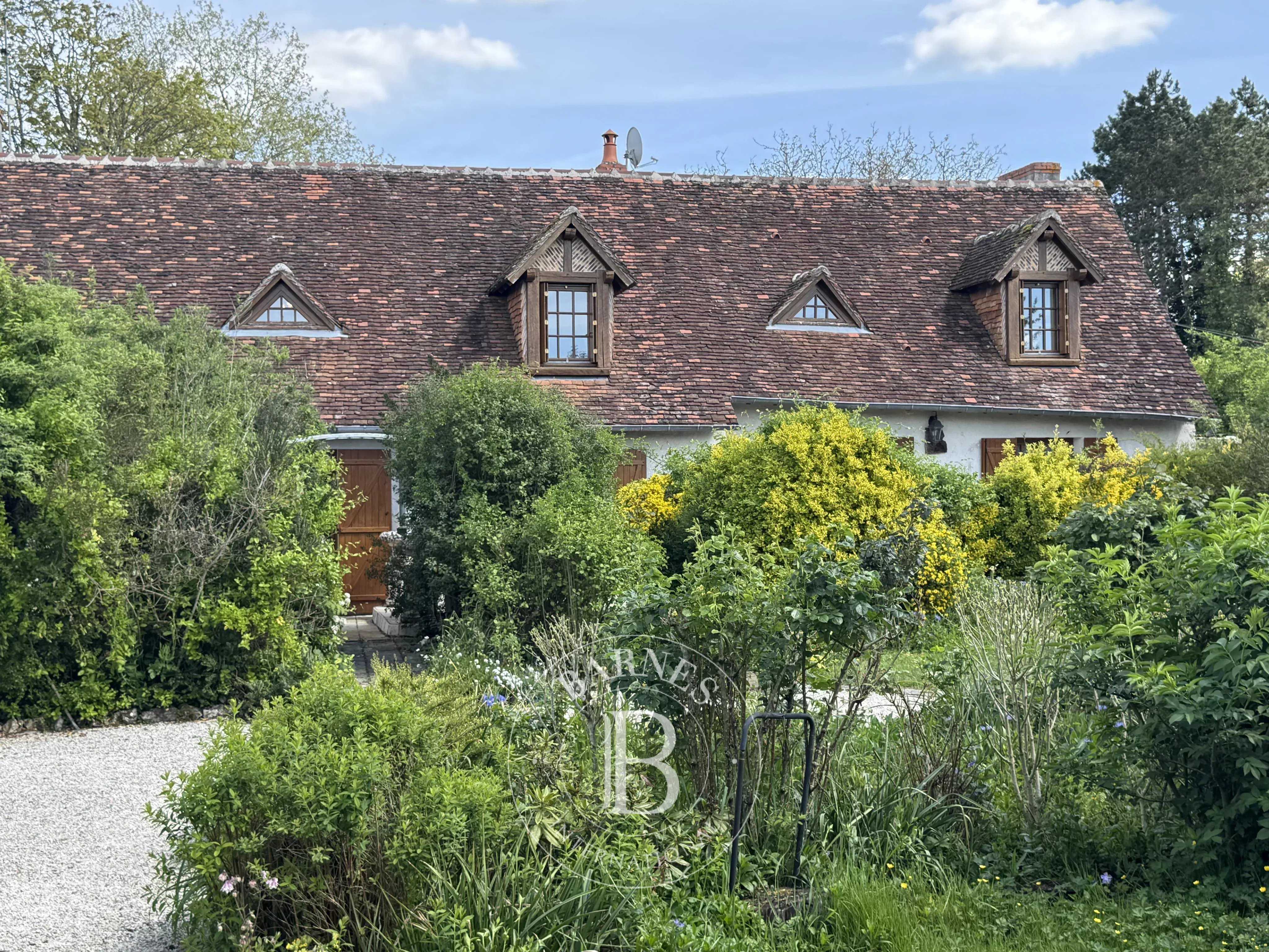 Maison de village Cour-Cheverny  -  ref 86915111 (picture 1)