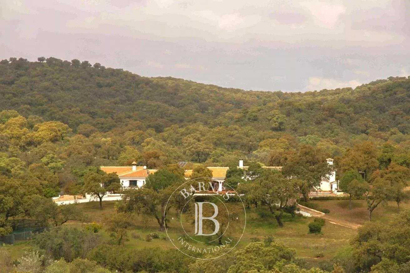 Maison Villanueva del Río  -  ref 85588820 (picture 2)