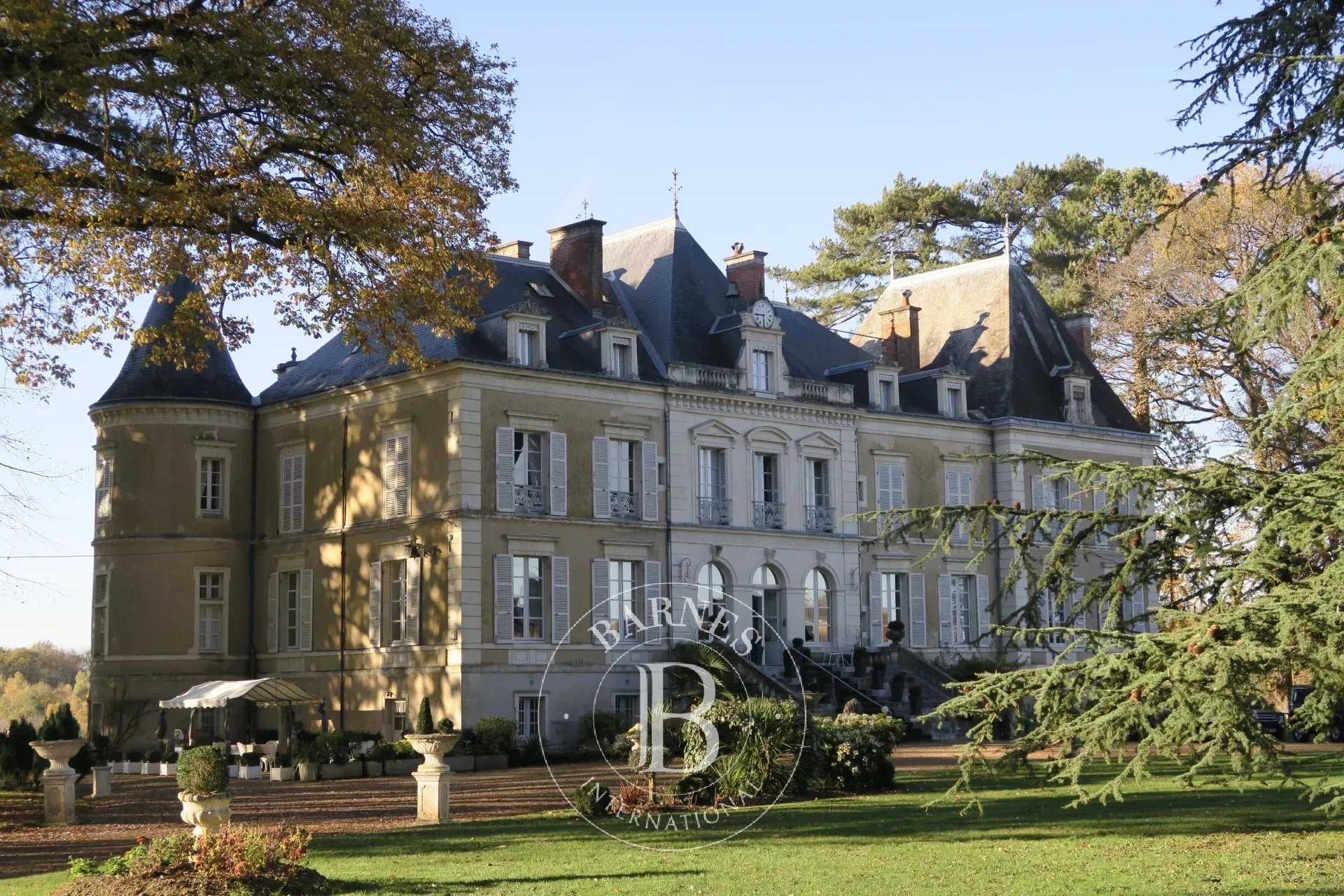 Château Tours  -  ref 4541845 (picture 3)
