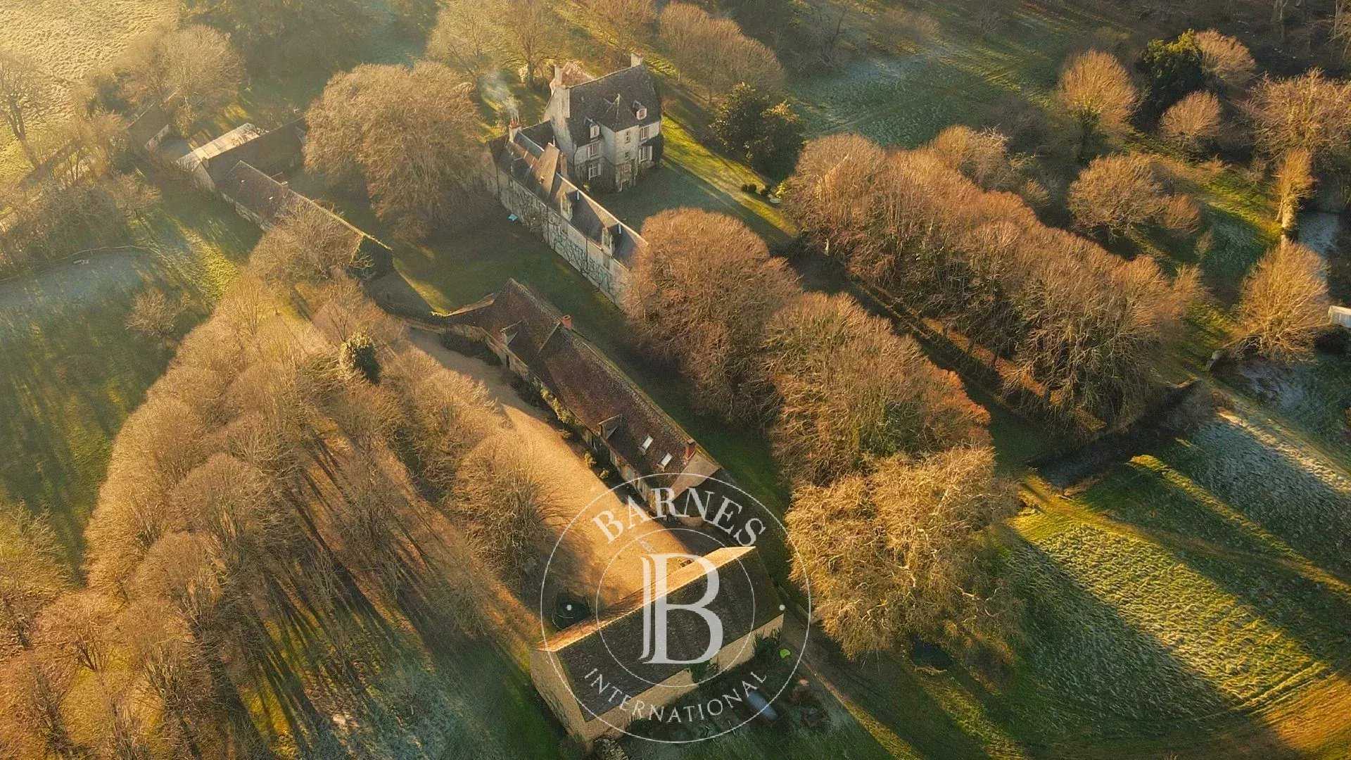 Château Graçay  -  ref 85701748 (picture 1)