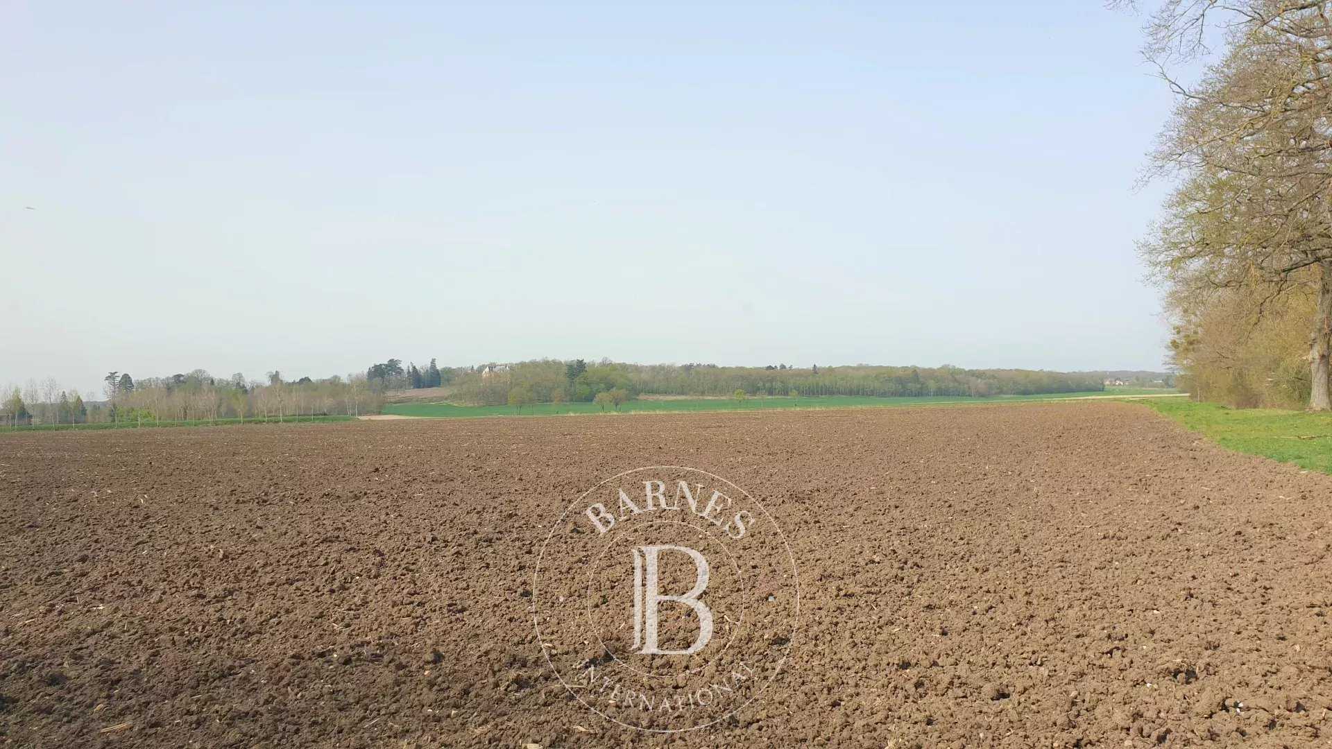 Proprietes-de-luxe Châtres-sur-Cher