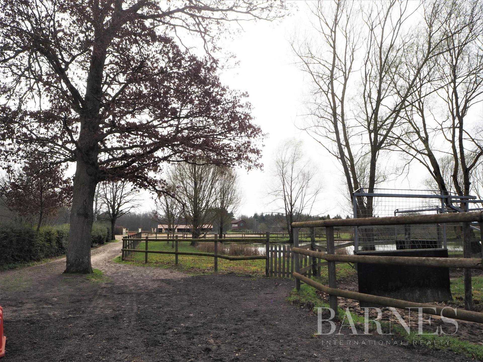 Equestrian estate Orléans  -  ref 6833189 (picture 3)