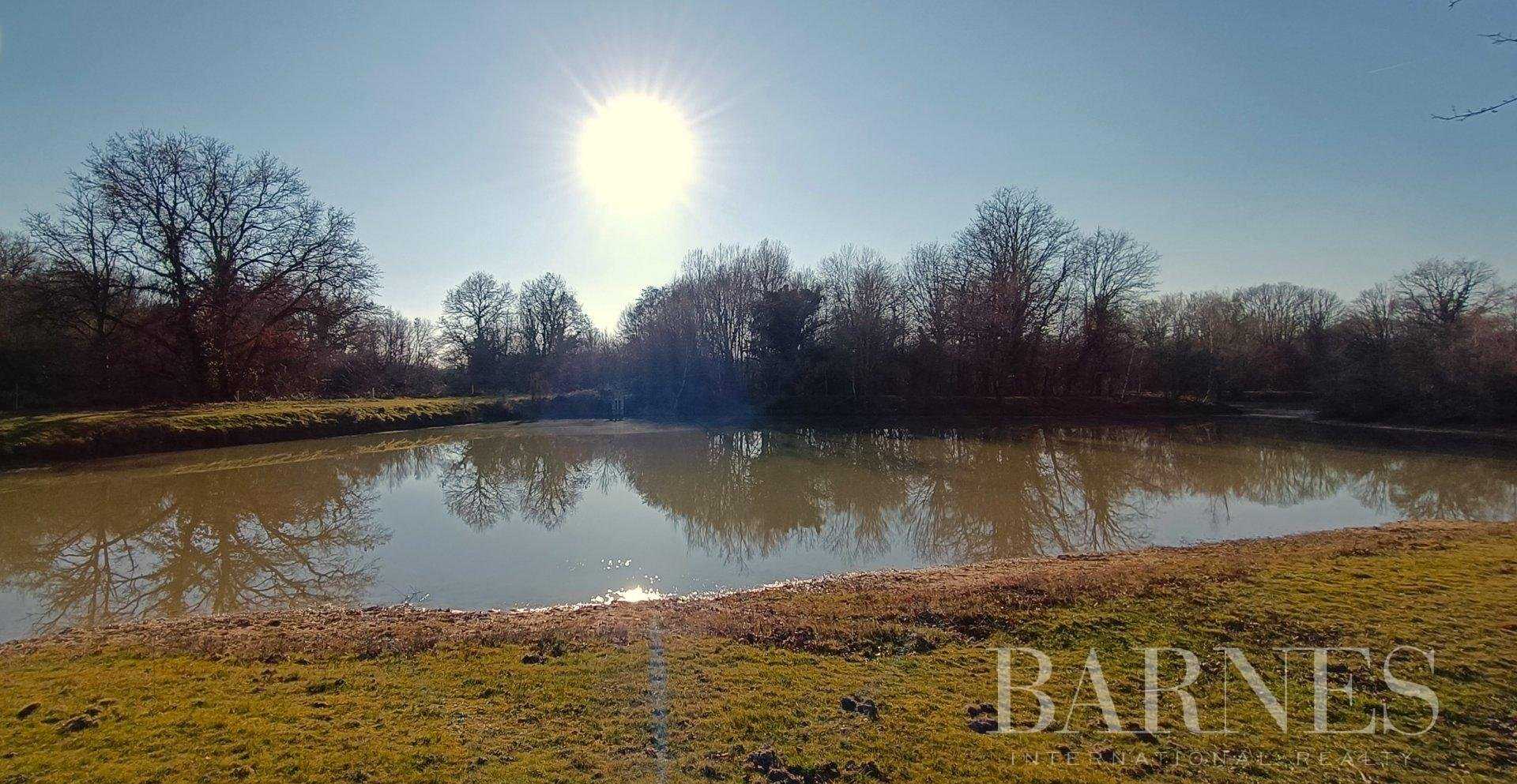 Property Cerdon  -  ref 8198375 (picture 3)