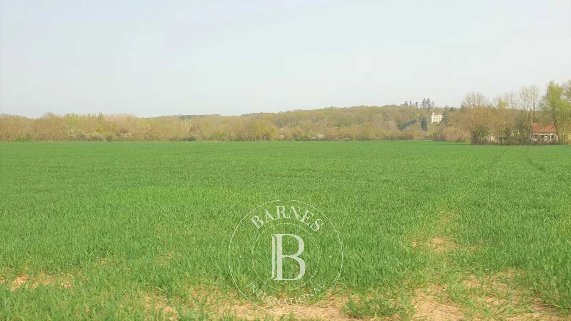 Exploitation agricole Châtres-sur-Cher  -  ref 85072469 (picture 2)