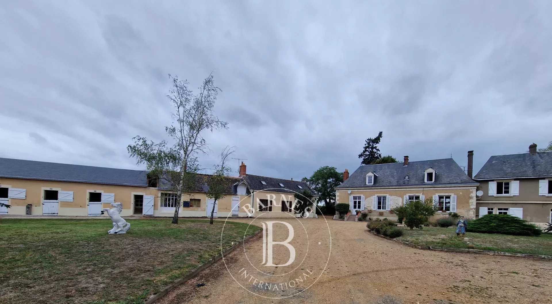 Maison La Bruère-sur-Loir  -  ref 83261756 (picture 3)