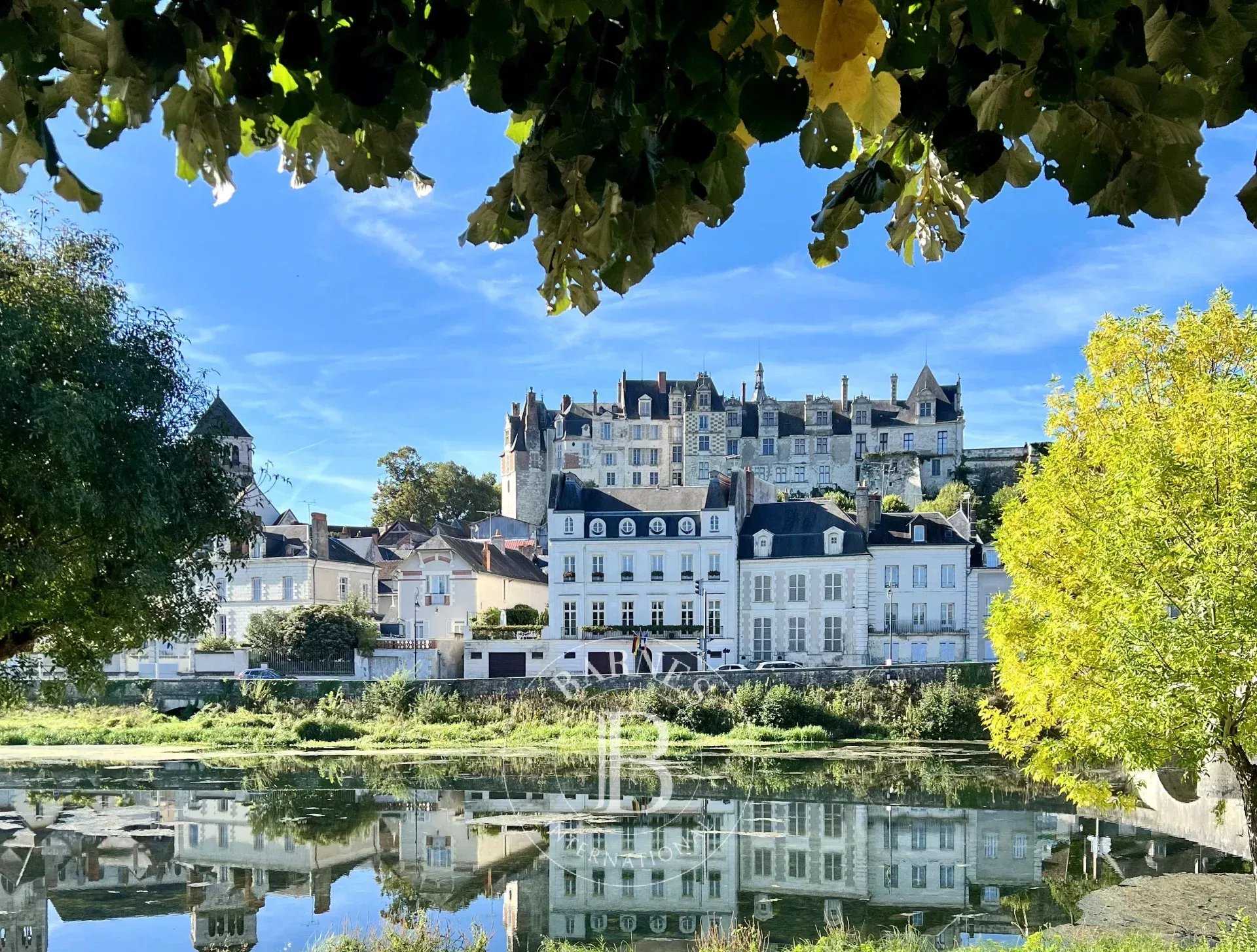Hôtel particulier Saint-Aignan  -  ref 85557891 (picture 1)