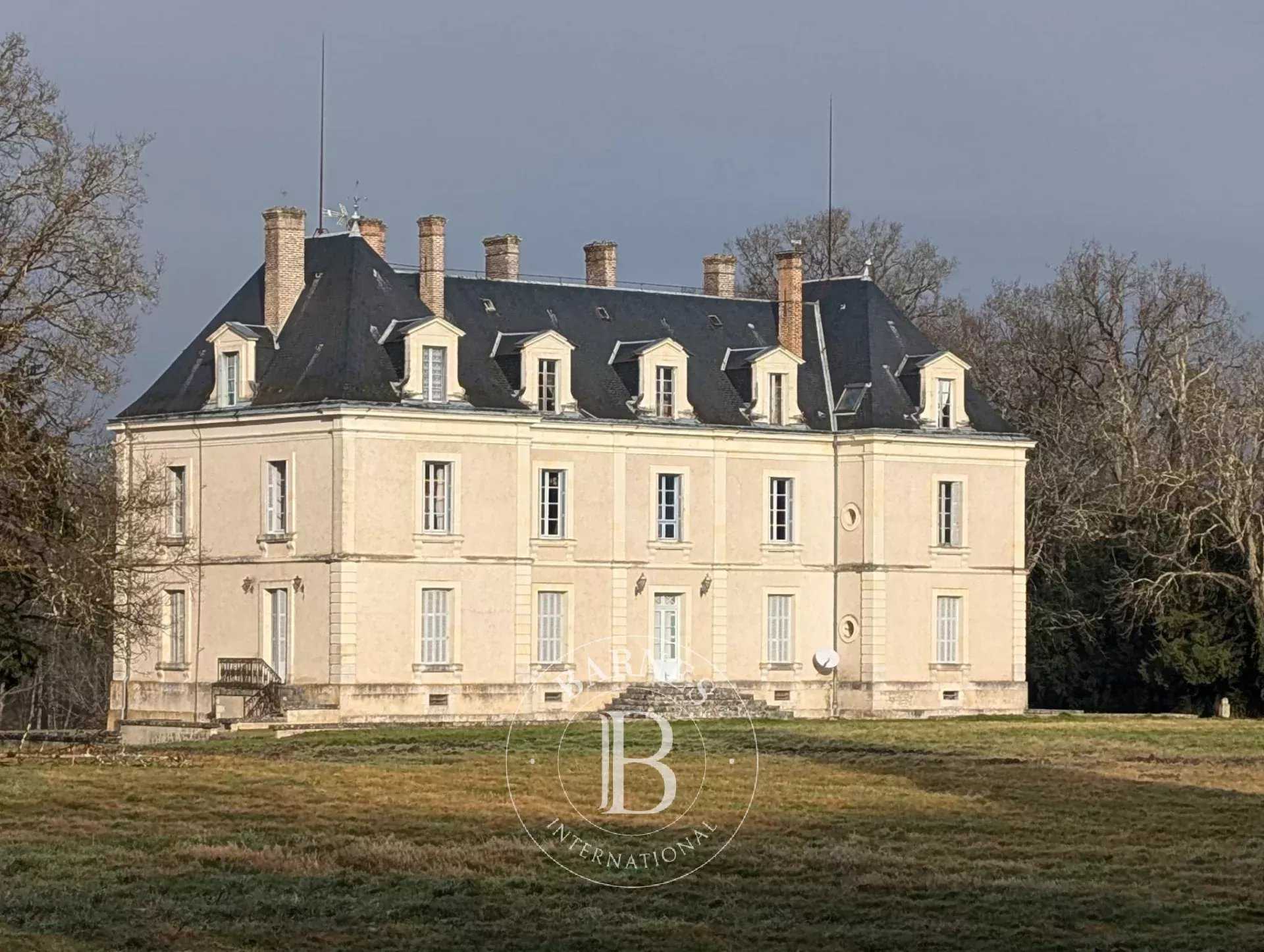 Château Mur-de-Sologne  -  ref 85582633 (picture 2)