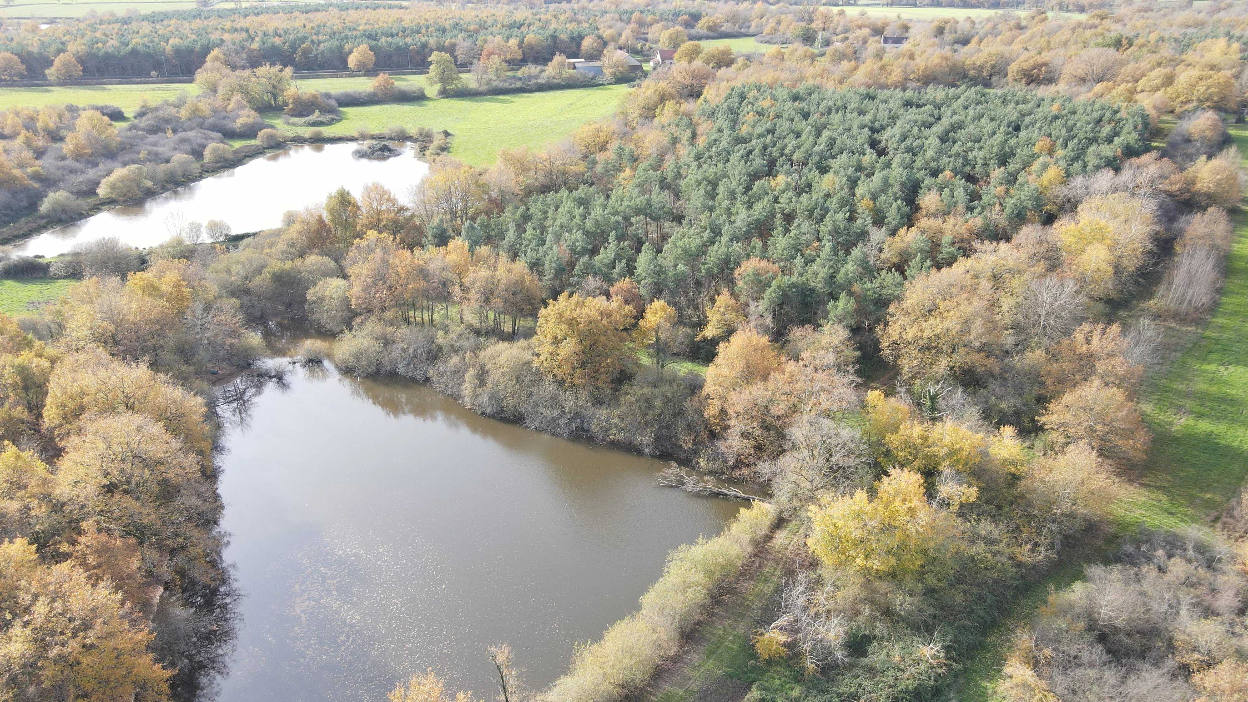 Propriété Lusigny  -  ref 86692317 (picture 3)