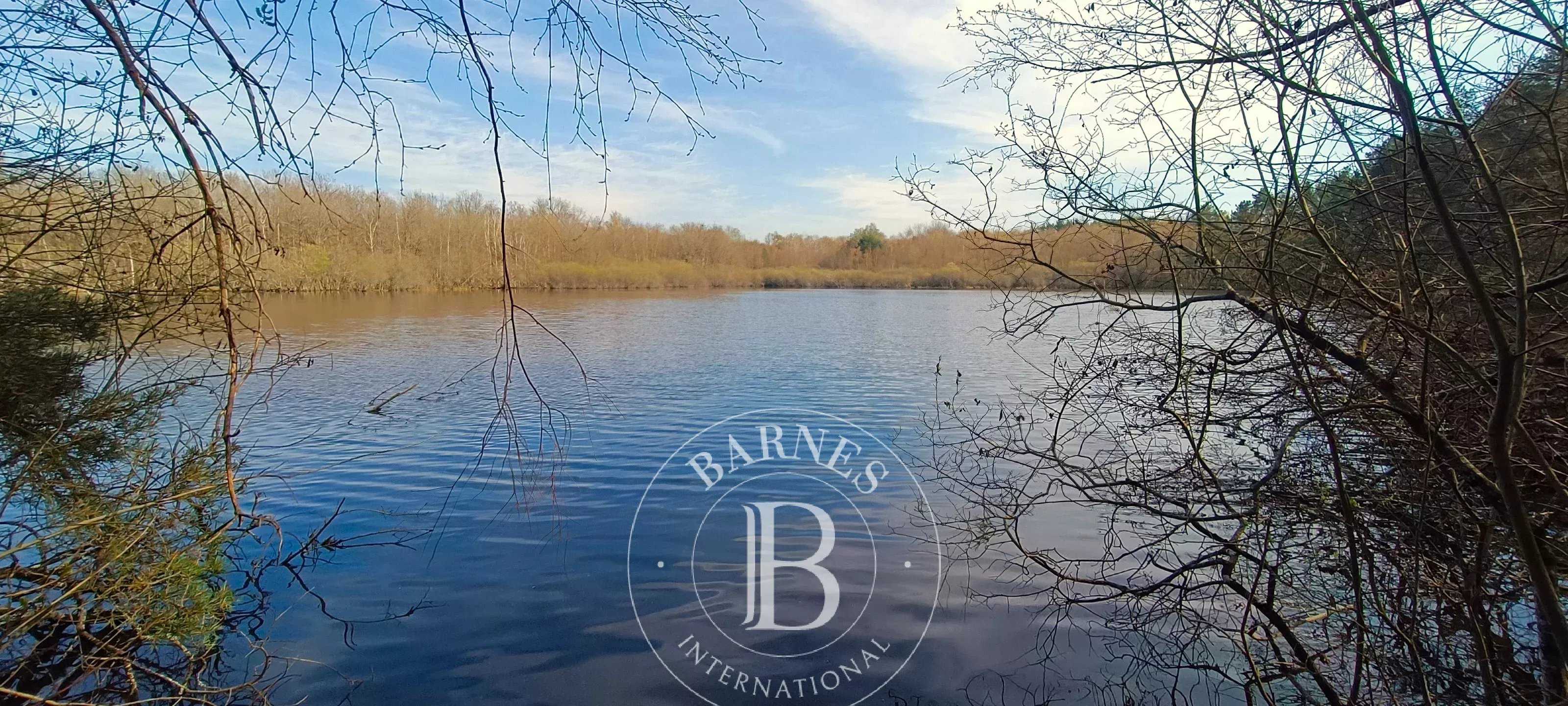 Domaine de chasse Salbris  -  ref 86889368 (picture 1)