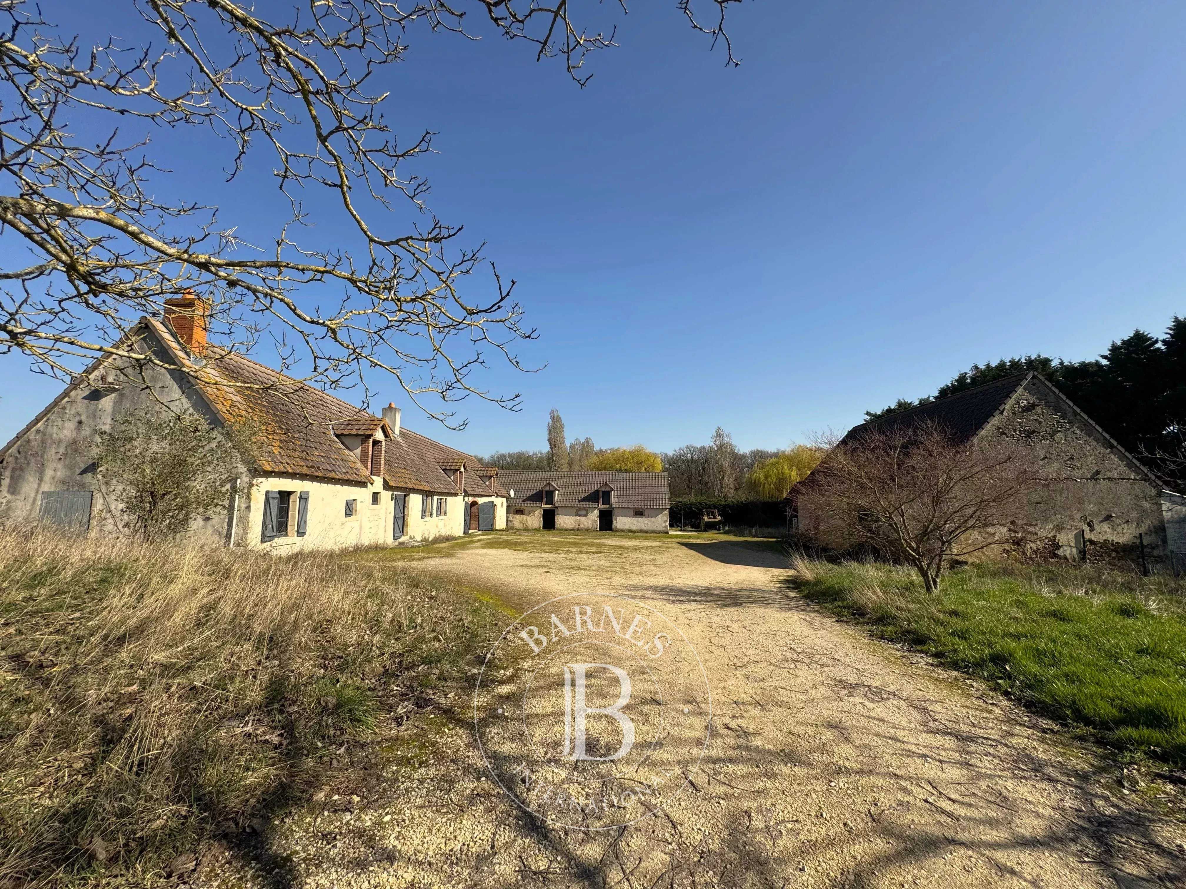 Domaine équestre Graçay  -  ref 86677991 (picture 3)