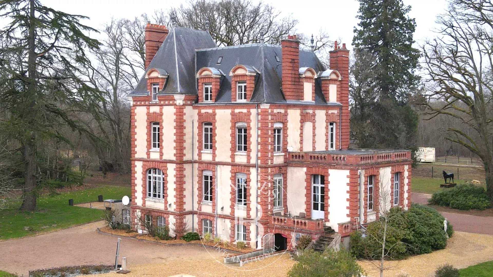 Château Neuvy-sur-Barangeon  -  ref 83779635 (picture 1)