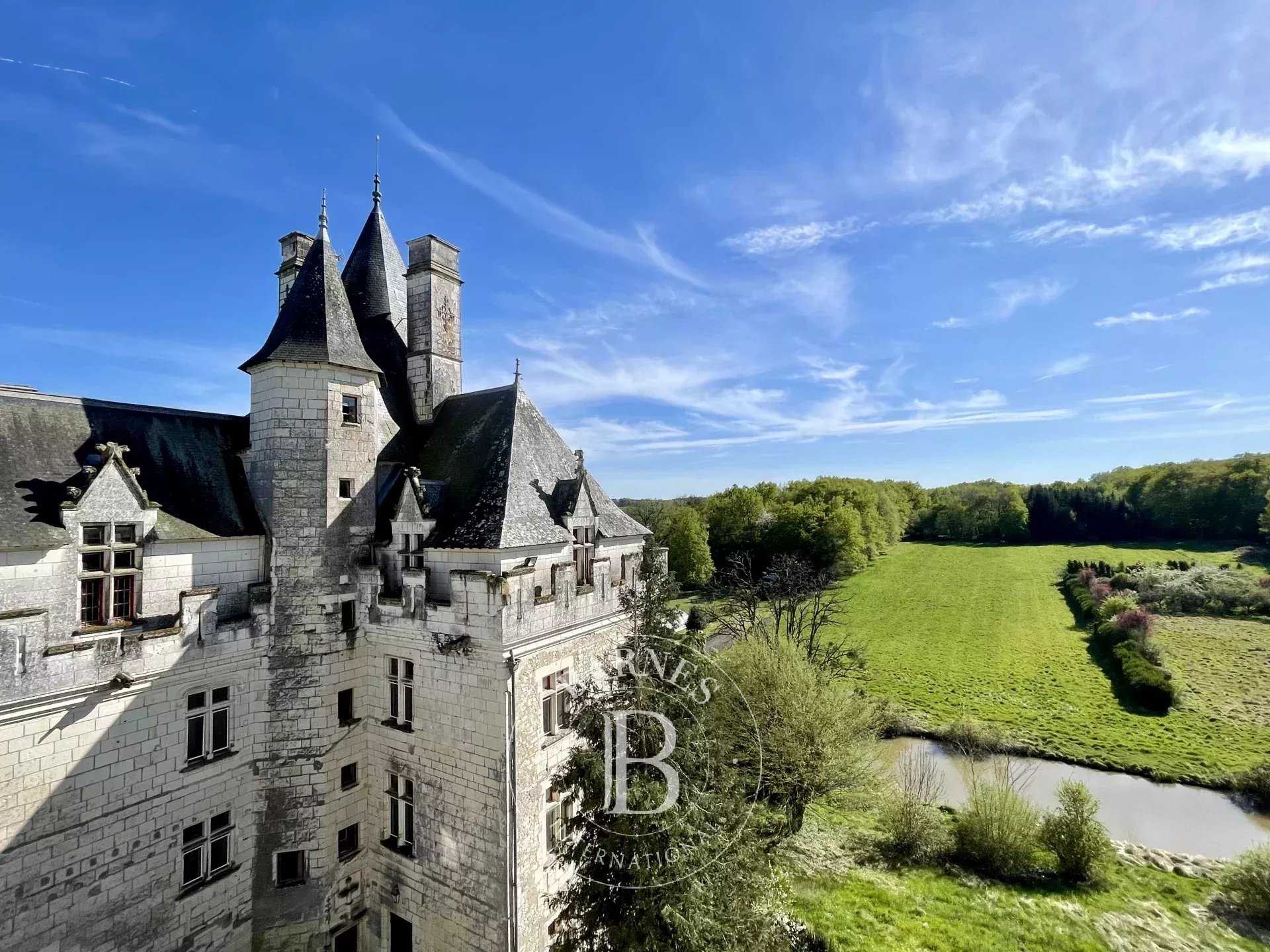 Château Loches  -  ref 85892351 (picture 3)