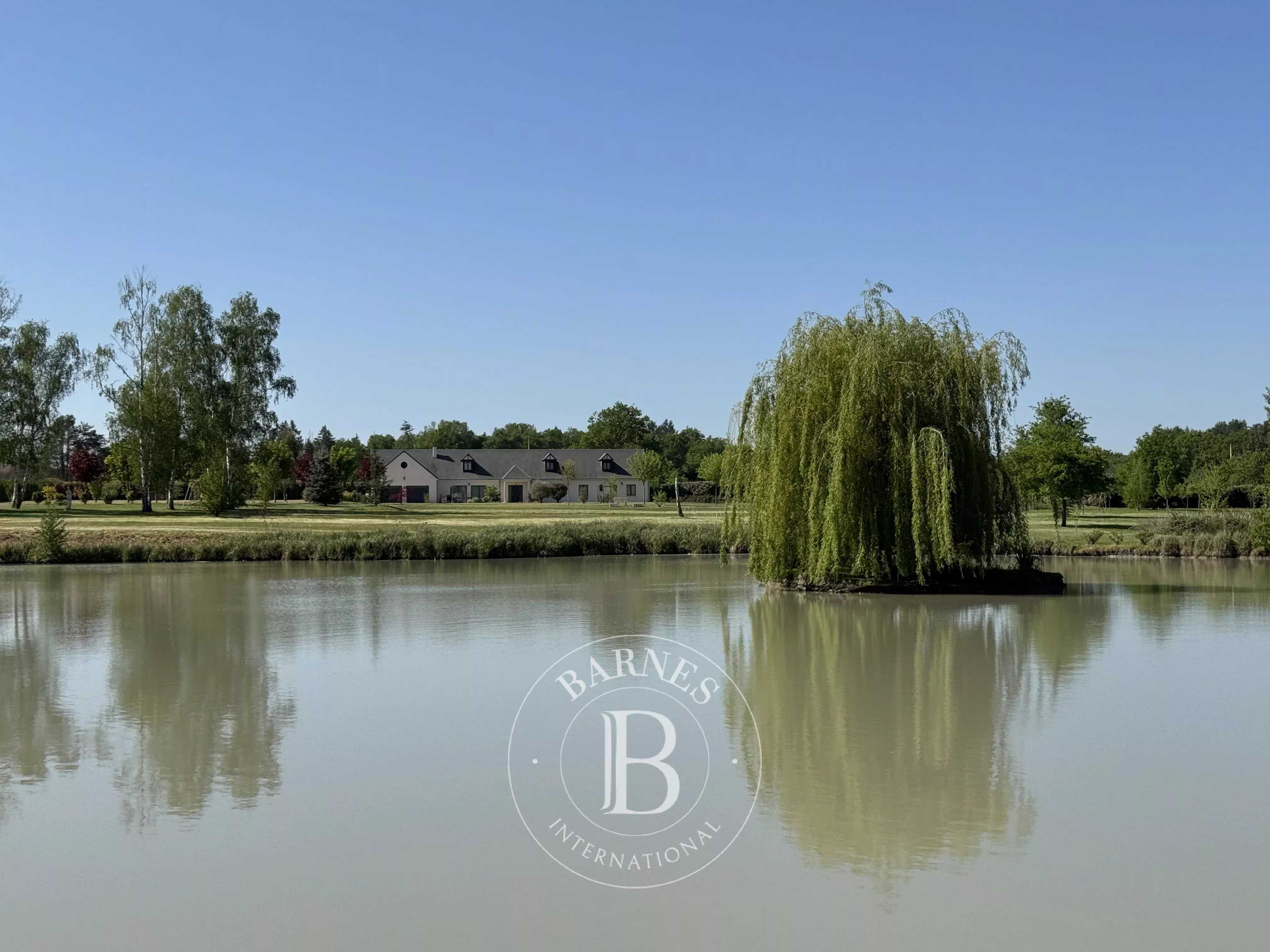 Maison Vernou-en-Sologne  -  ref 86052121 (picture 1)