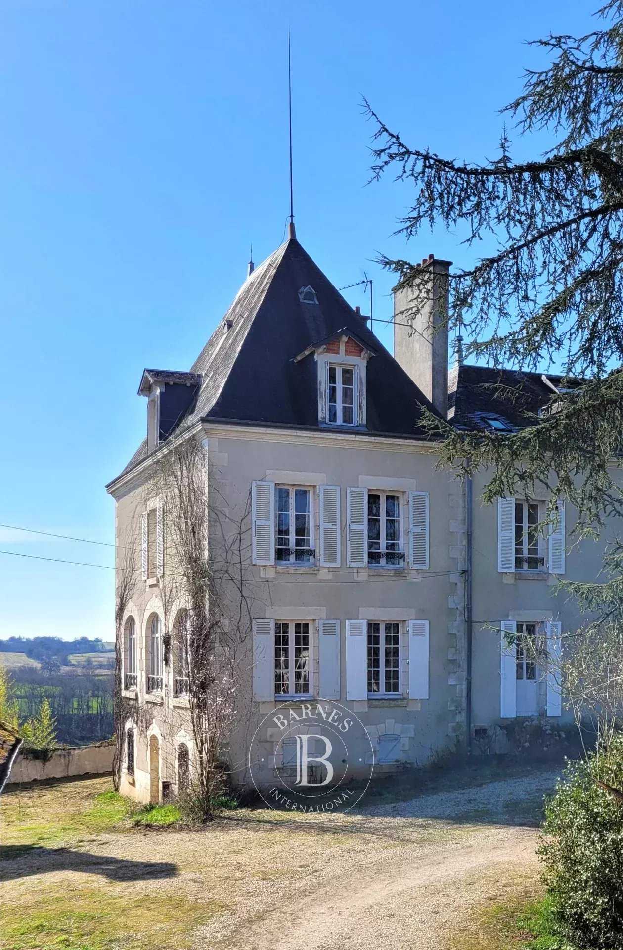 Castillo Saint-Gaultier  -  ref 85701829 (picture 3)