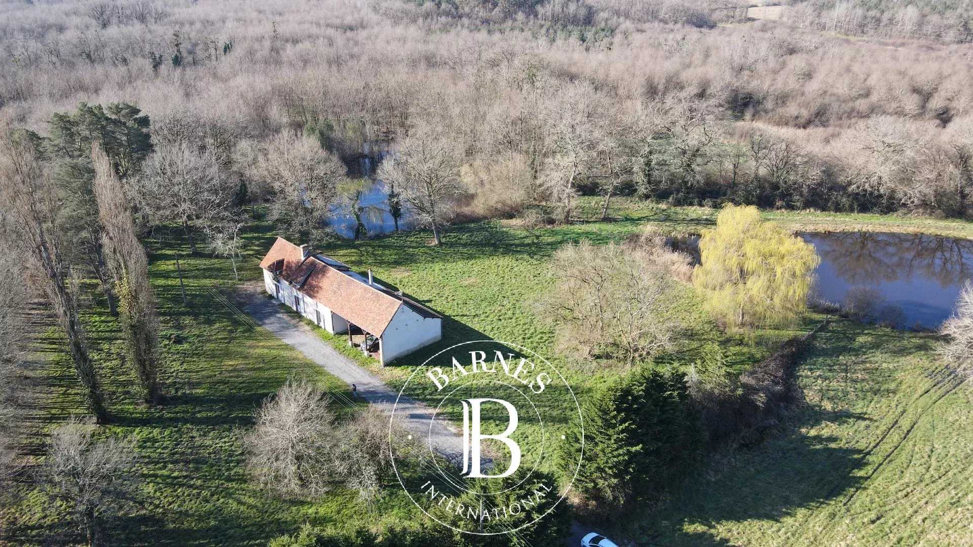 Domaine de chasse Theillay  -  ref 85733997 (picture 3)
