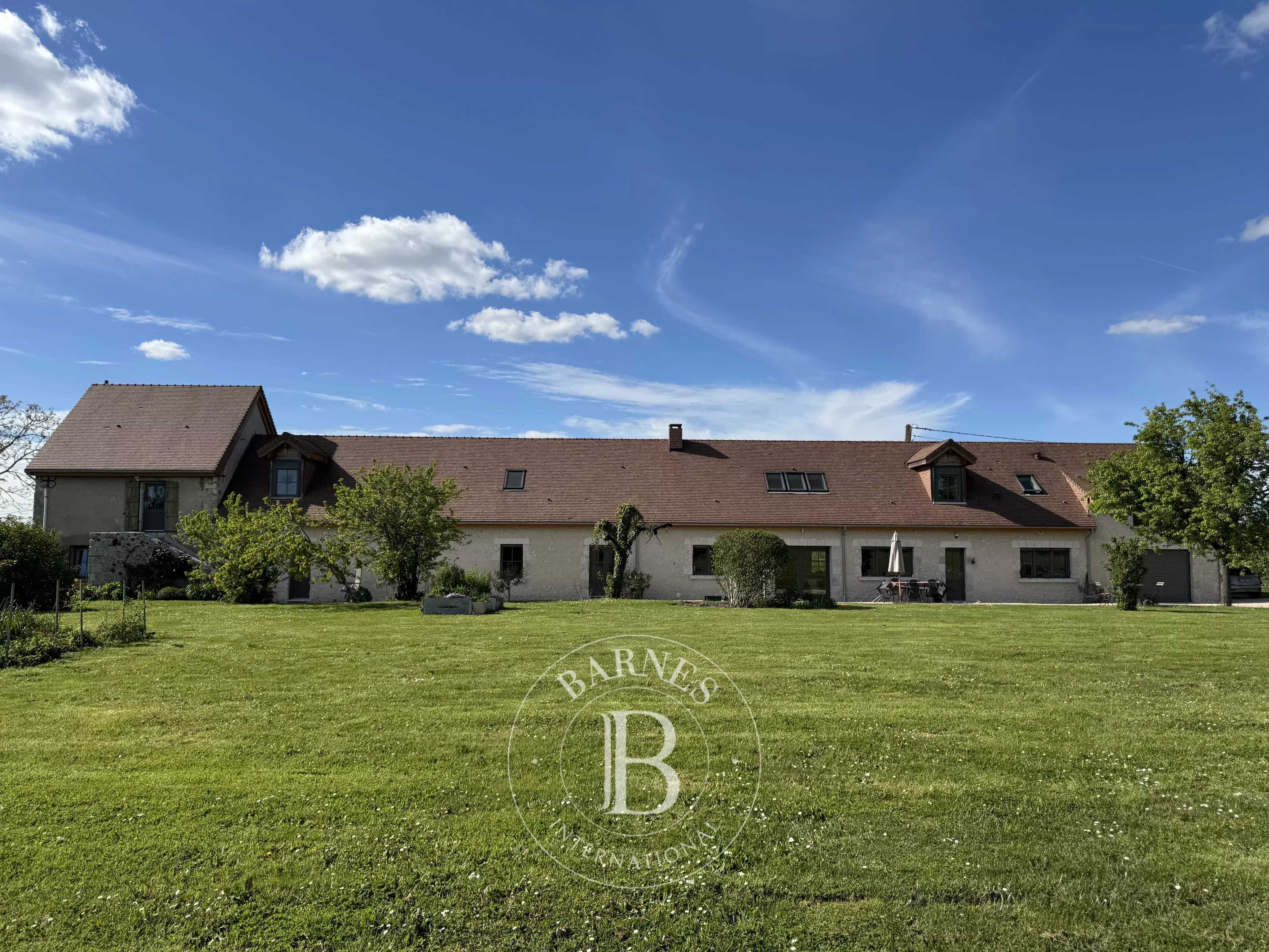 Maison Cour-Cheverny  -  ref 86913018 (picture 2)