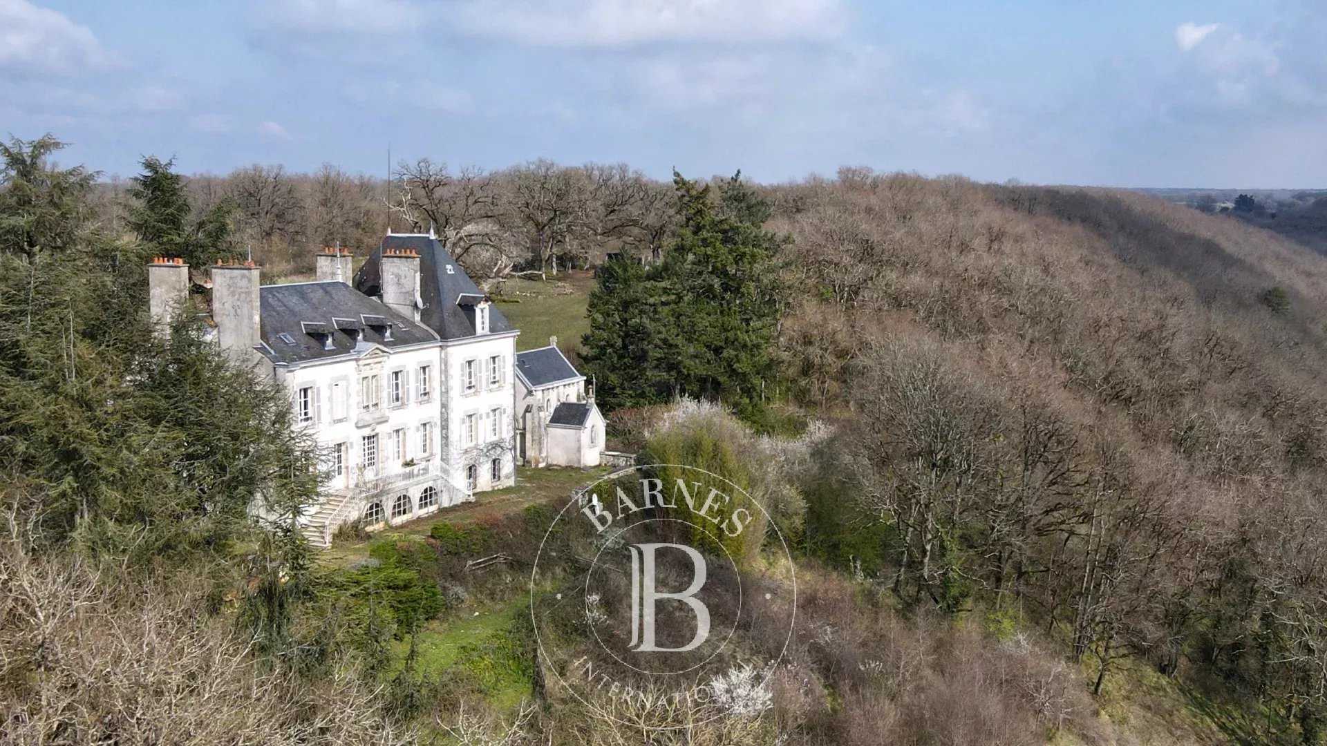 Castillo Saint-Gaultier  -  ref 85701829 (picture 1)