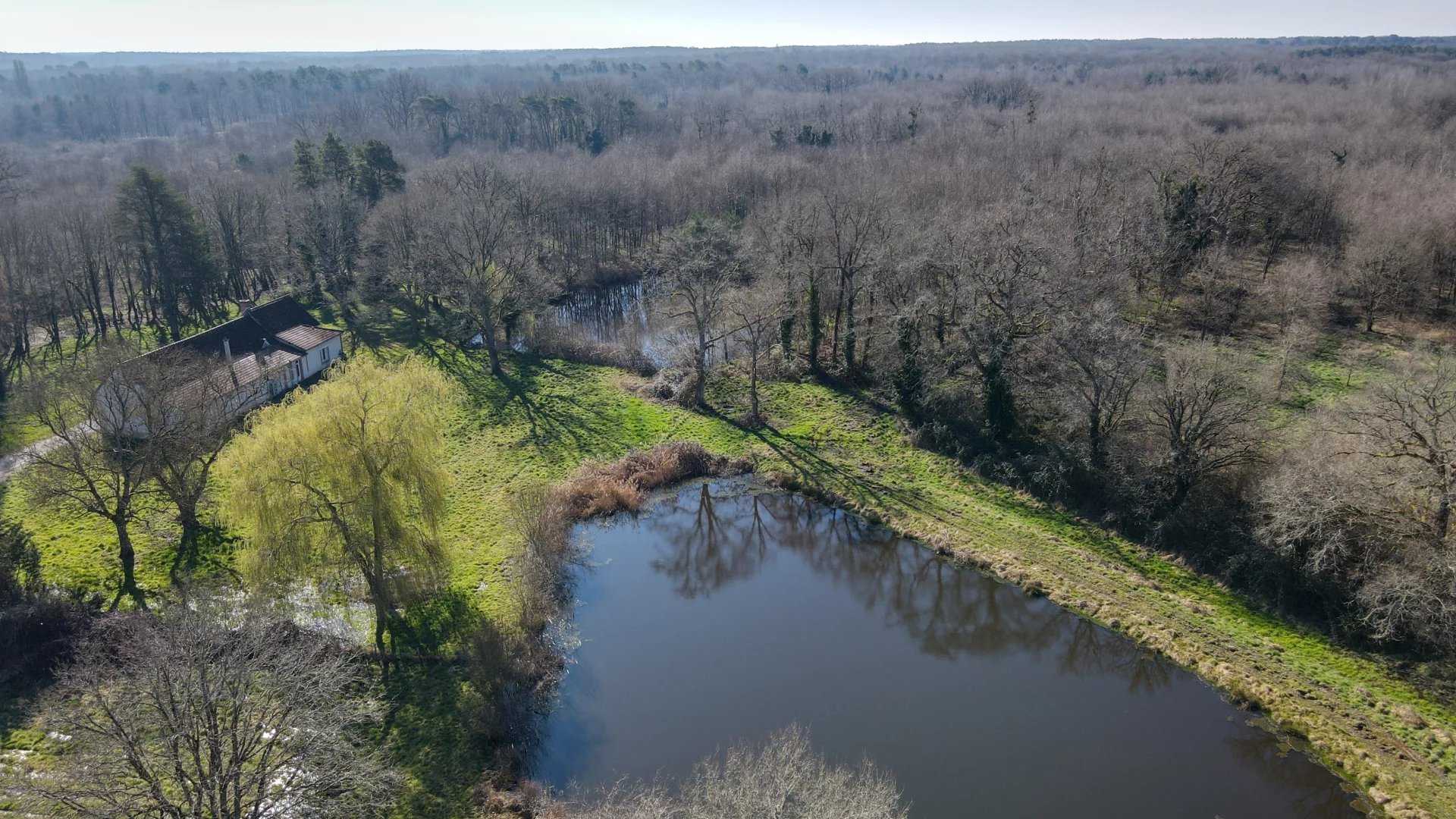 Domaine de chasse Theillay  -  ref 85733997 (picture 1)