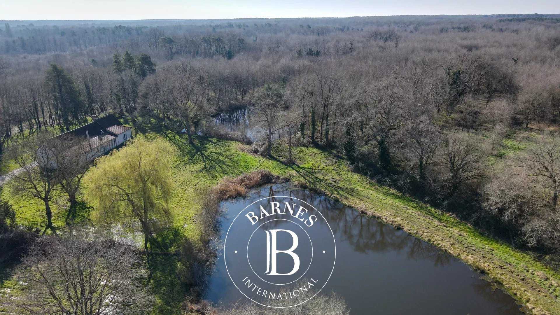 Domaine de chasse Theillay  -  ref 85733997 (picture 1)