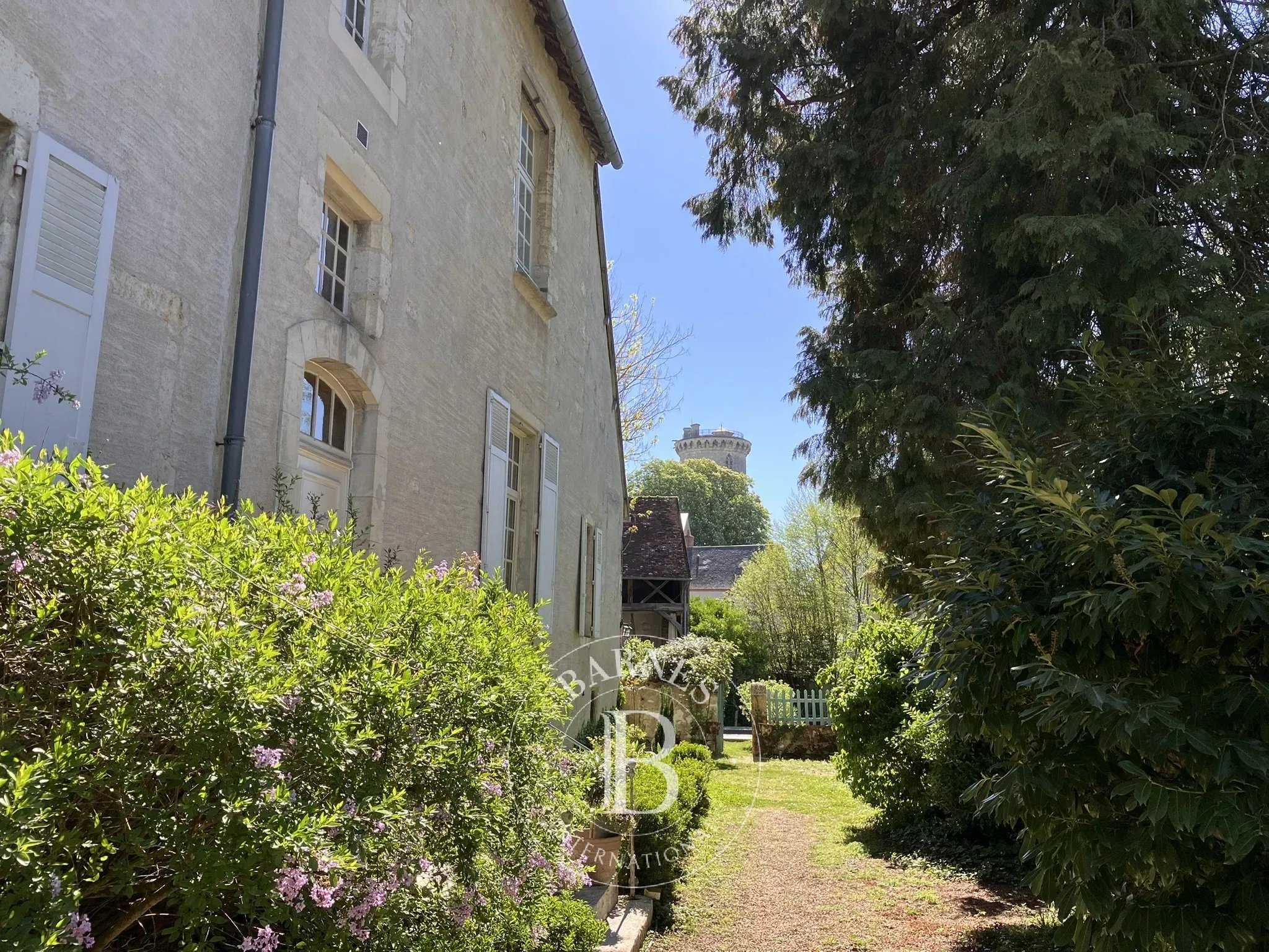 Hôtel particulier Mehun-sur-Yèvre  -  ref 86968476 (picture 3)