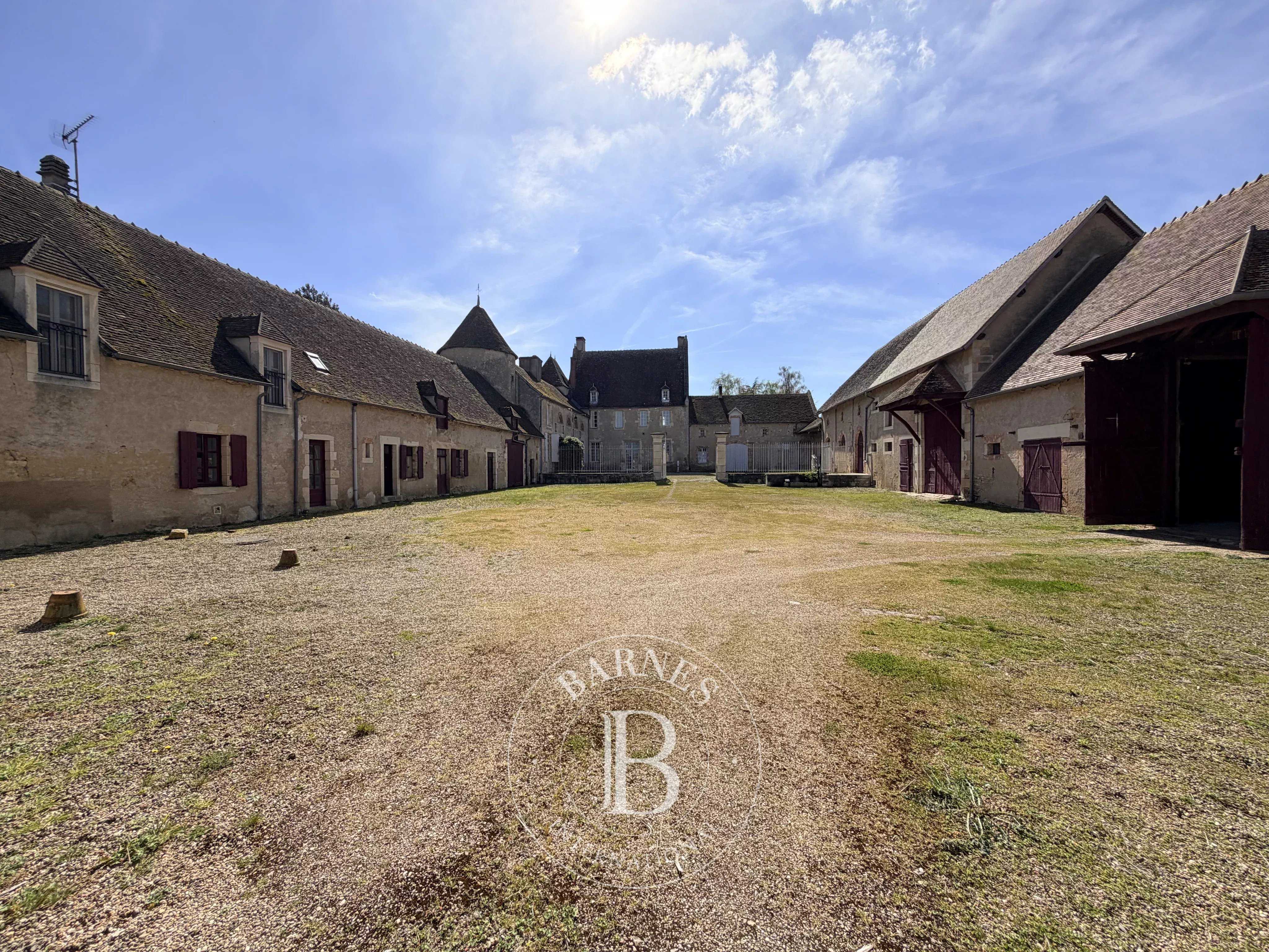 Château Saint-Georges-de-Poisieux  -  ref 87157247 (picture 2)