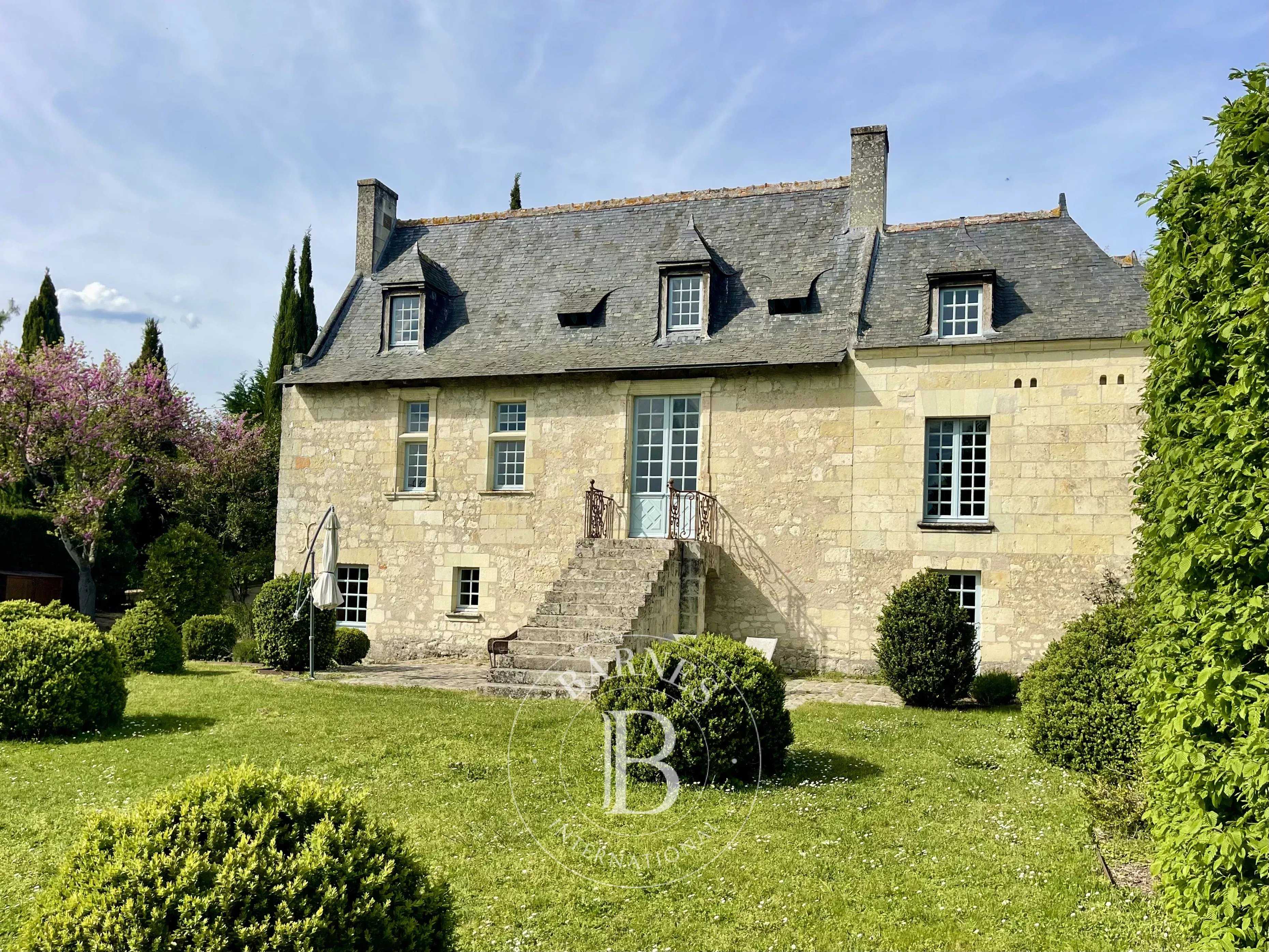 Manoir Bourgueil  -  ref 86904491 (picture 1)