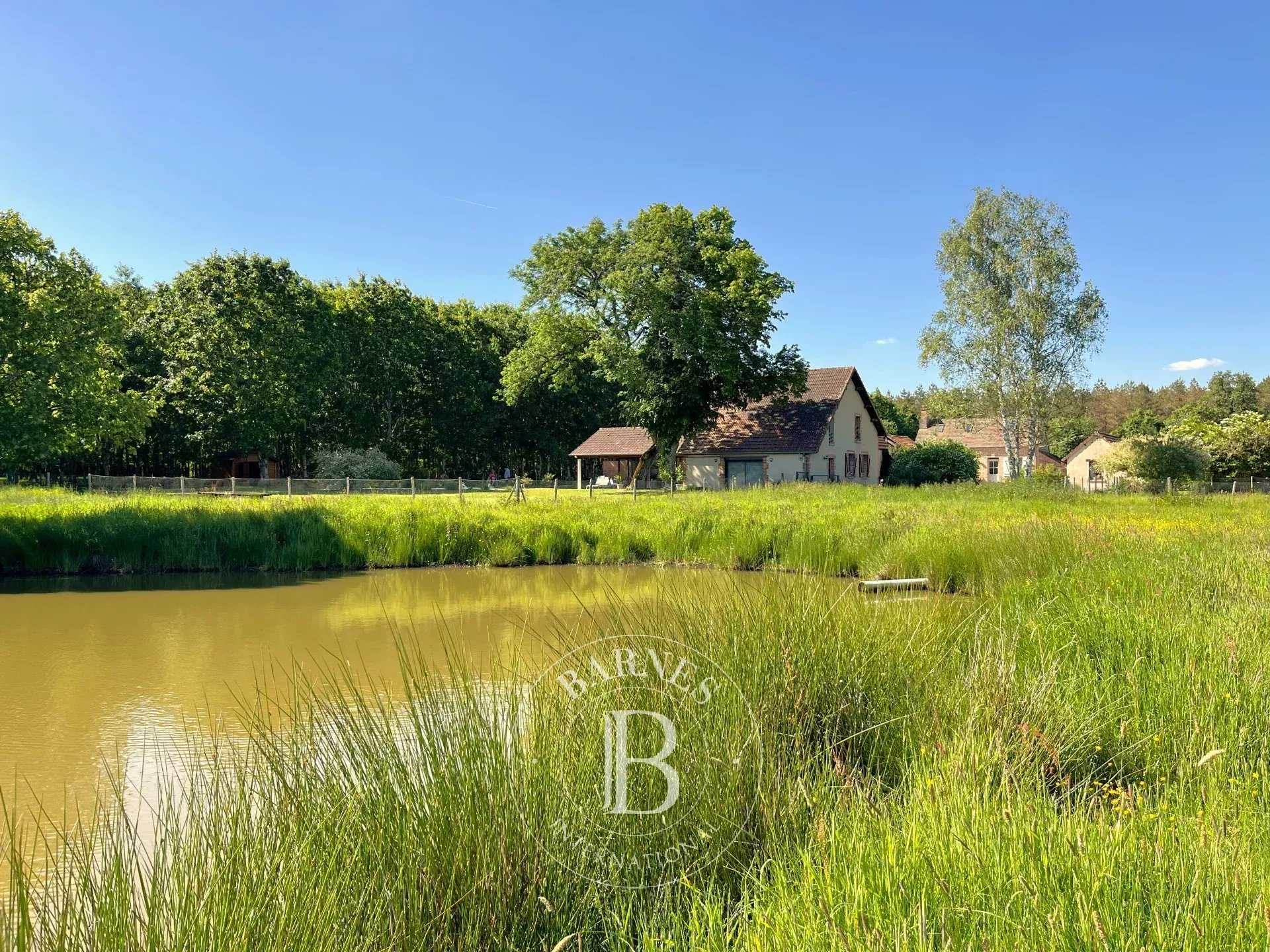 Propriété La Ferté-Saint-Aubin  -  ref 85950638 (picture 1)