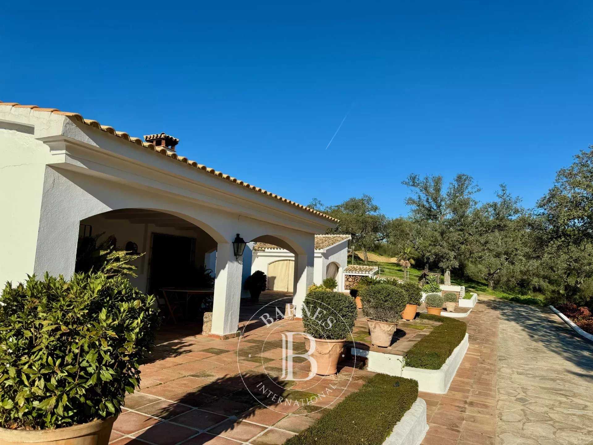 Maison Villanueva del Río  -  ref 85588820 (picture 3)