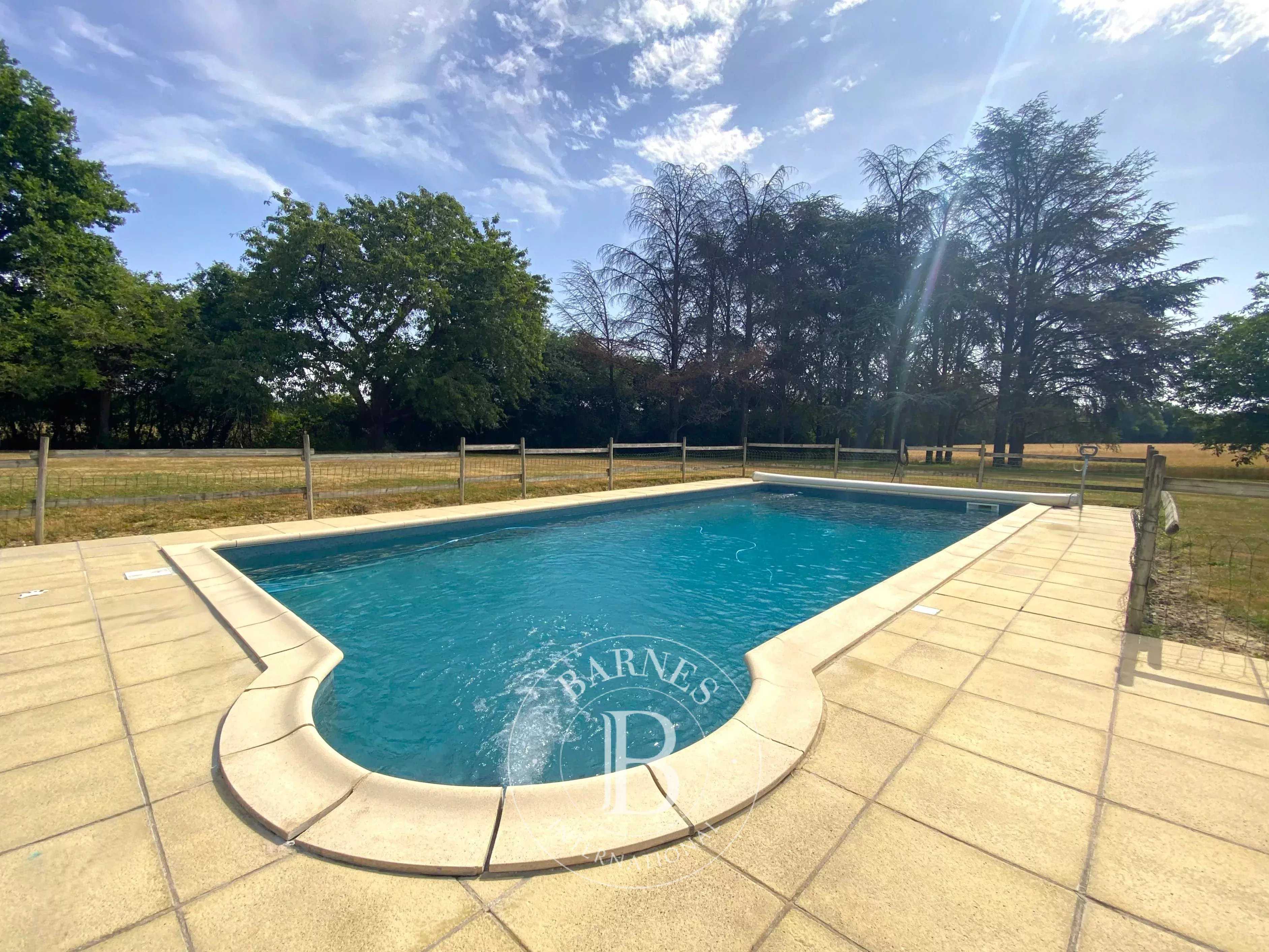 Maison Savigny-sur-Braye  -  ref 86620715 (picture 3)